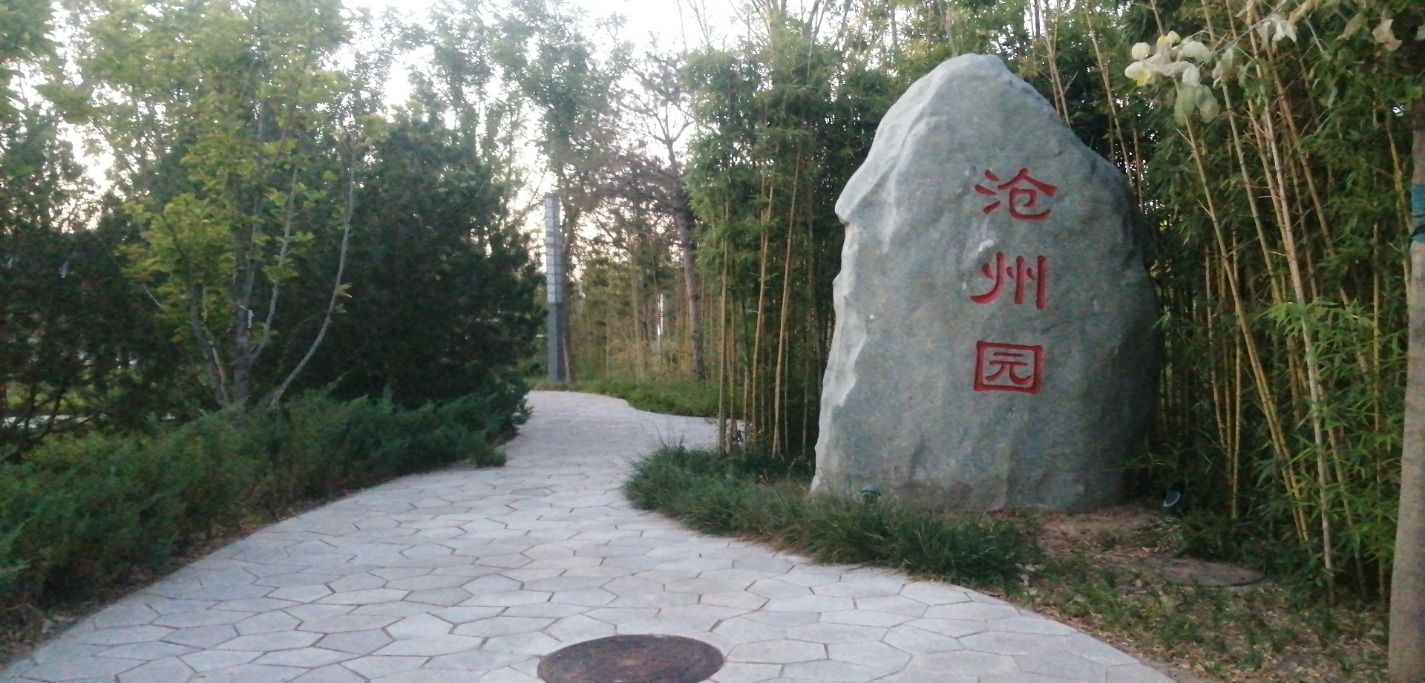 沧州园旅行图片