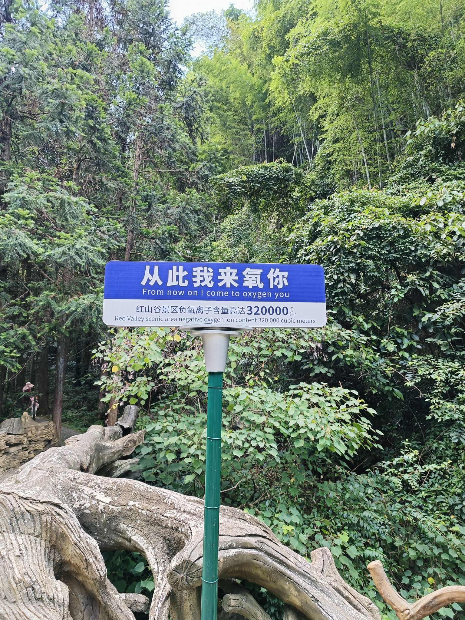 红山谷景区