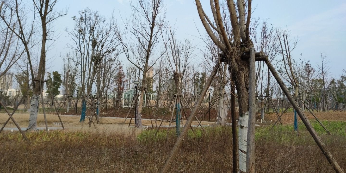 康养公园