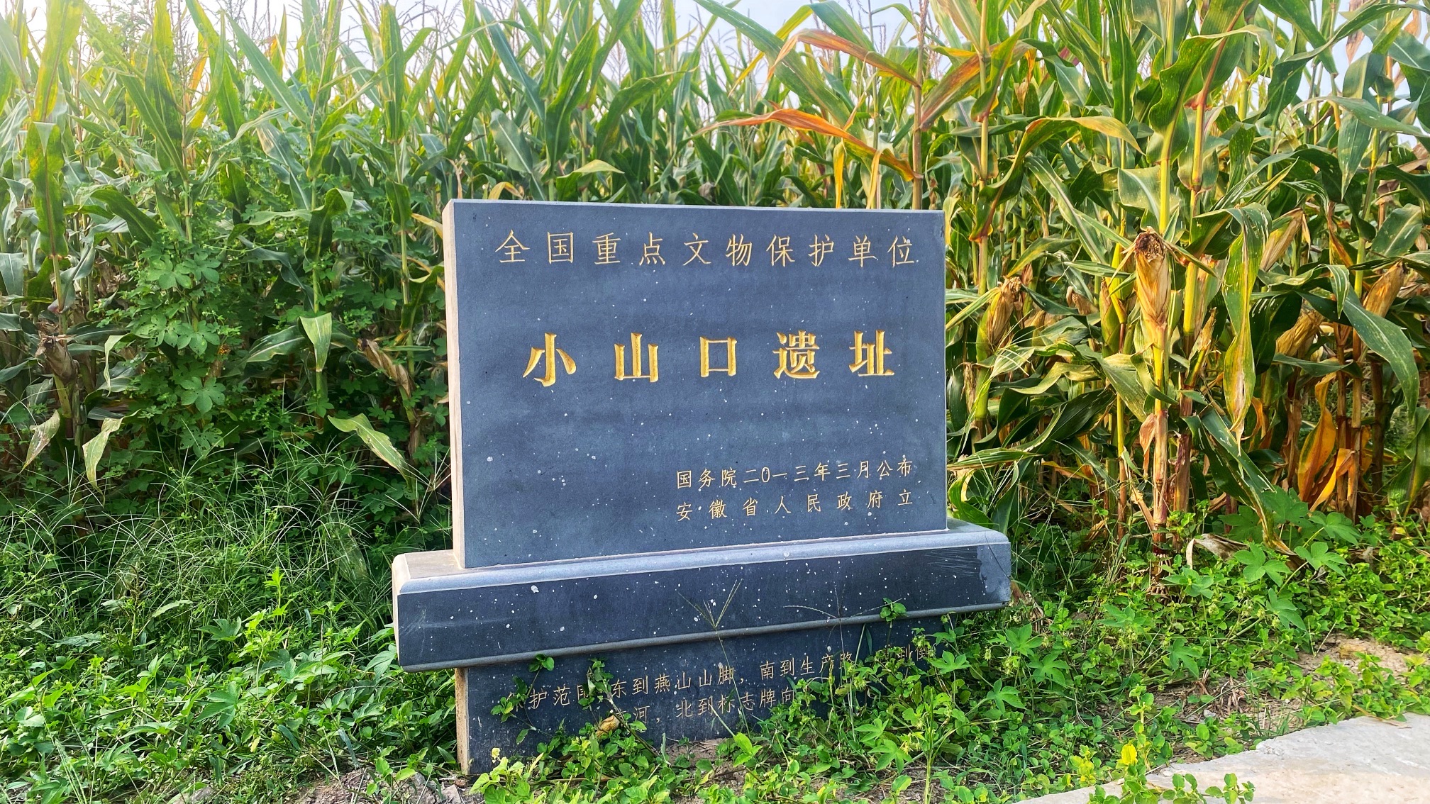 小山口遗址