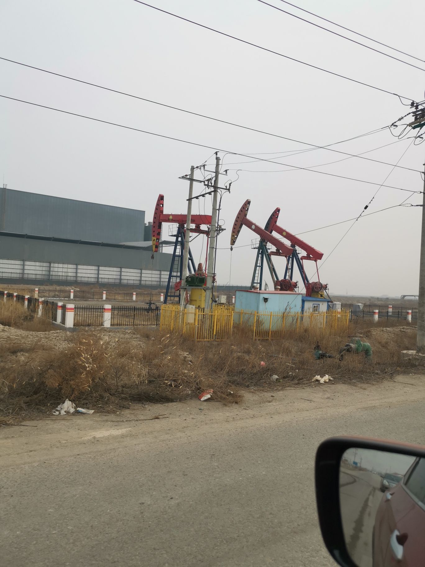 黄骅古贝壳堤