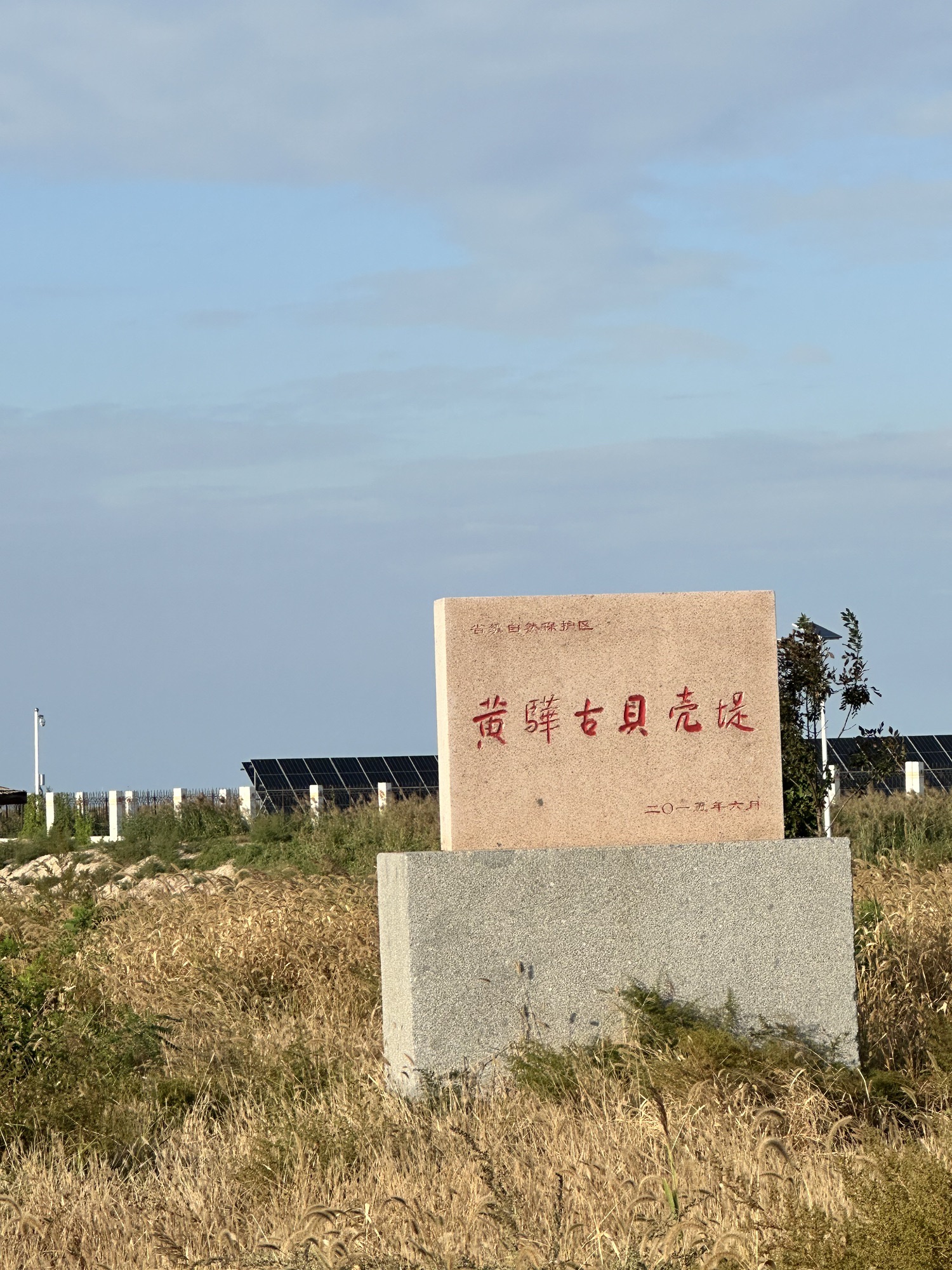 黄骅古贝壳堤旅行图片