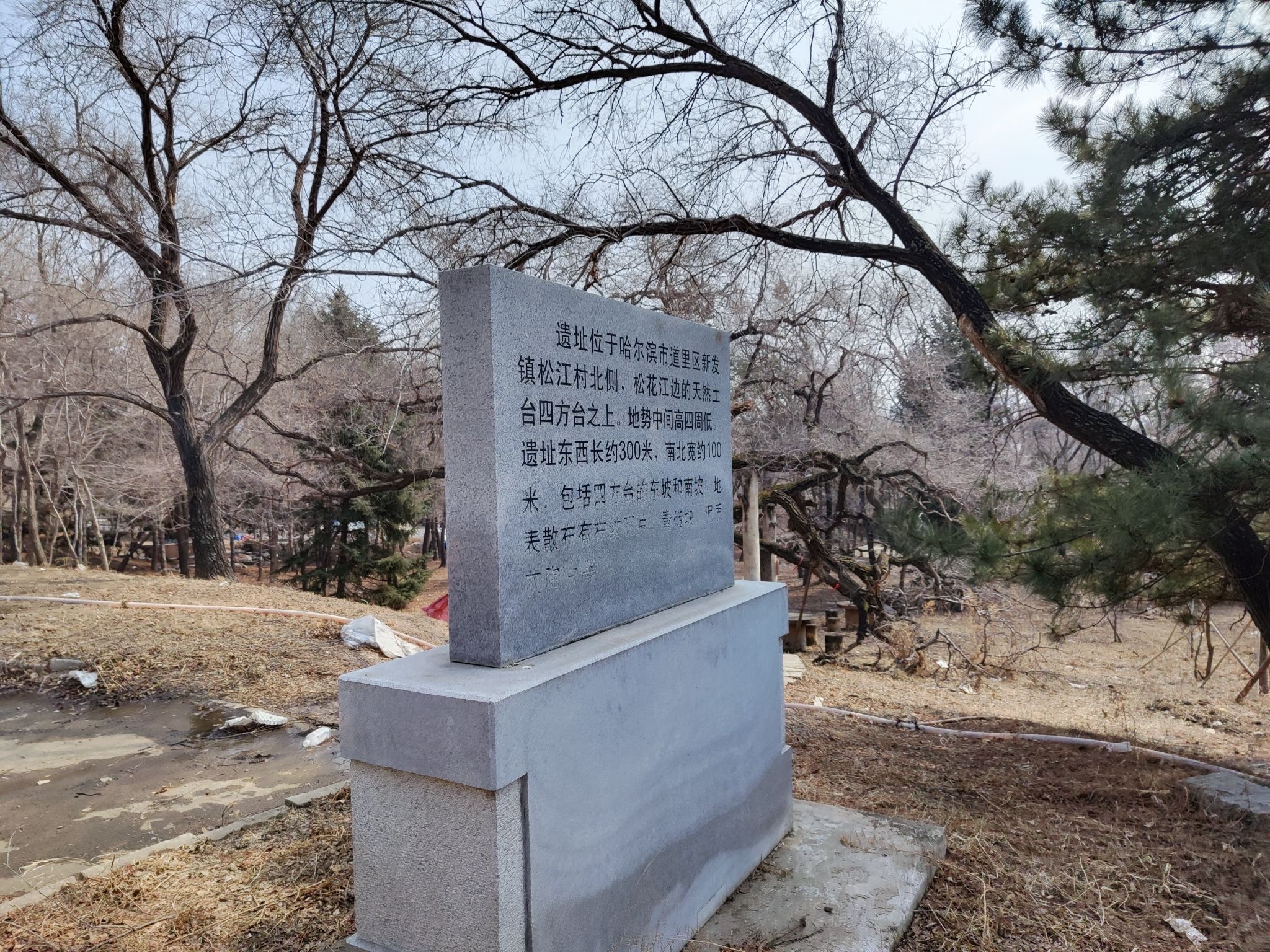 松江遗址(四方台)旅行图片