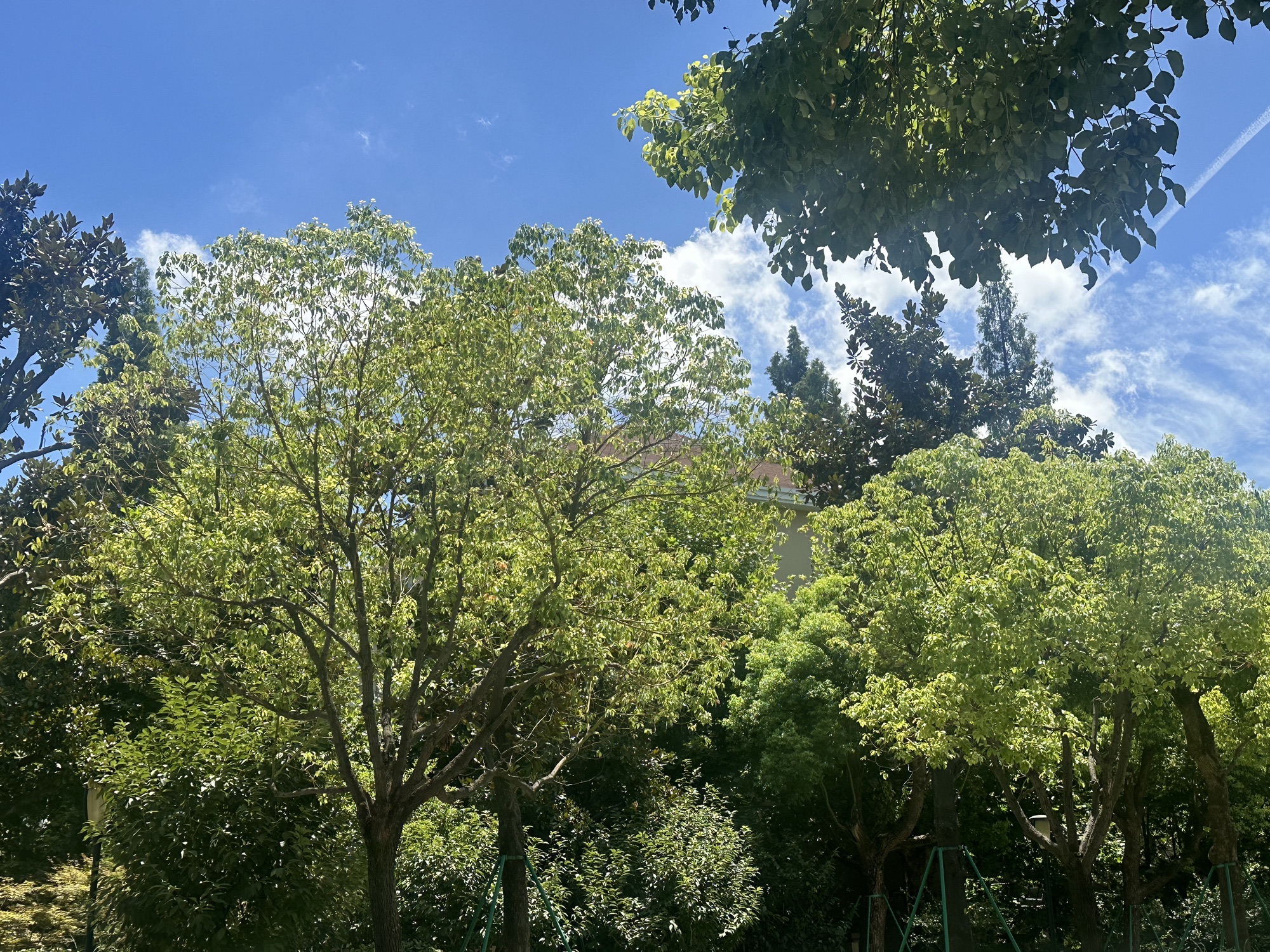 种德路桥公园