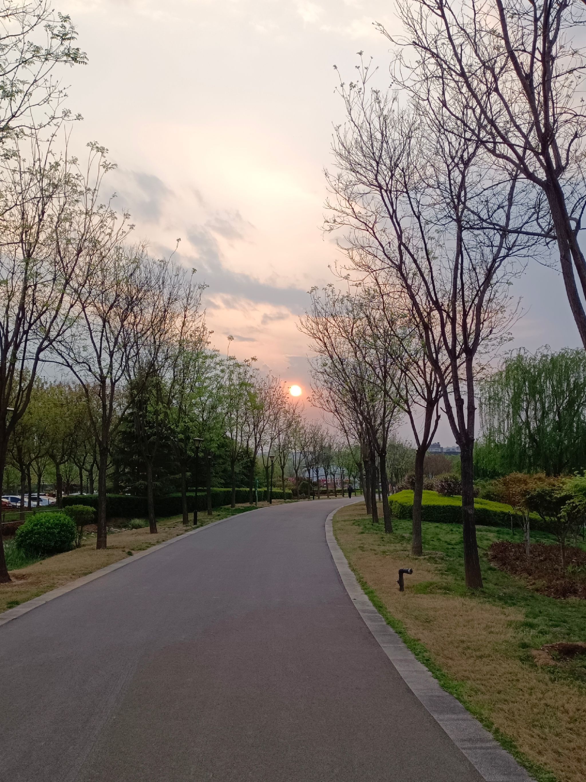 峰峰矿区市民公园旅行图片