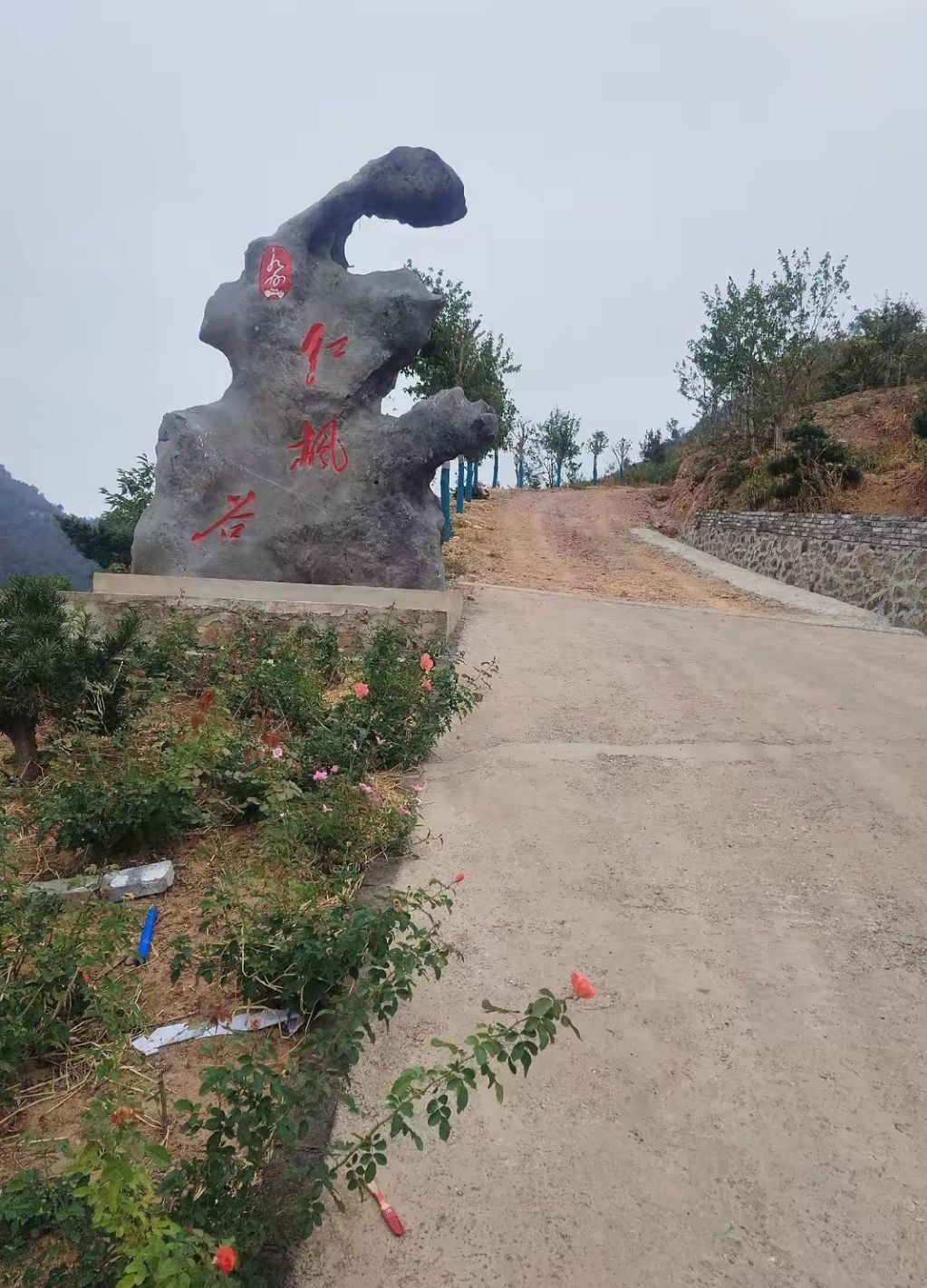 永州红枫谷旅行图片
