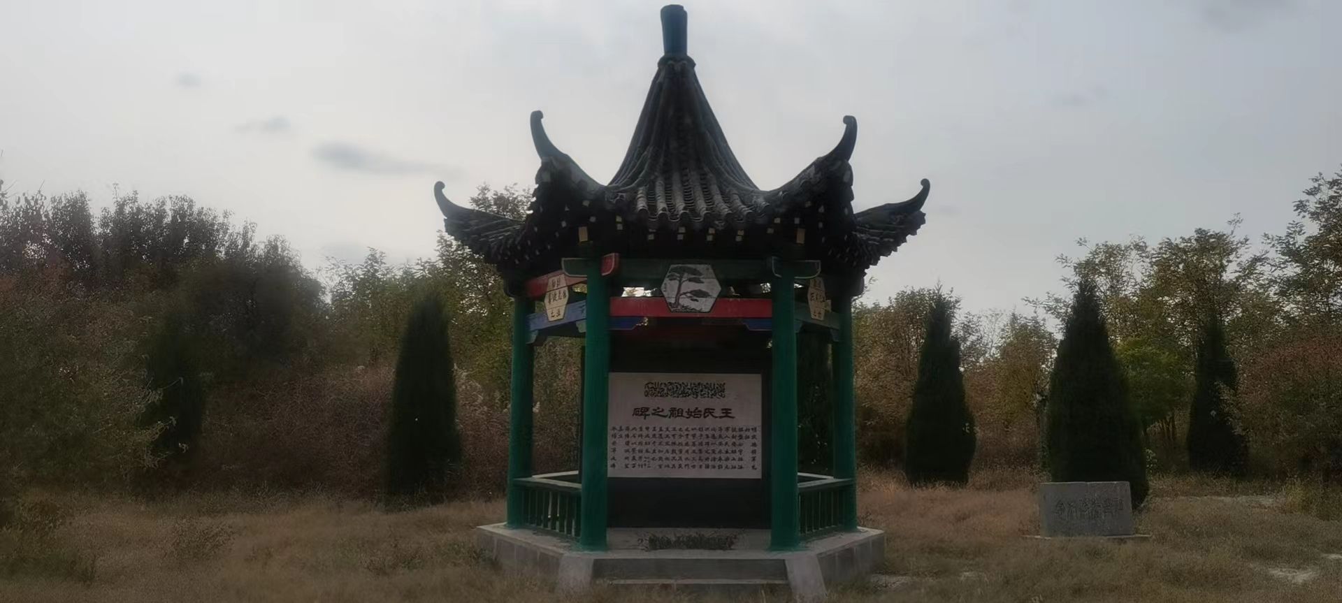 杜梨树王氏祖茔旅行图片