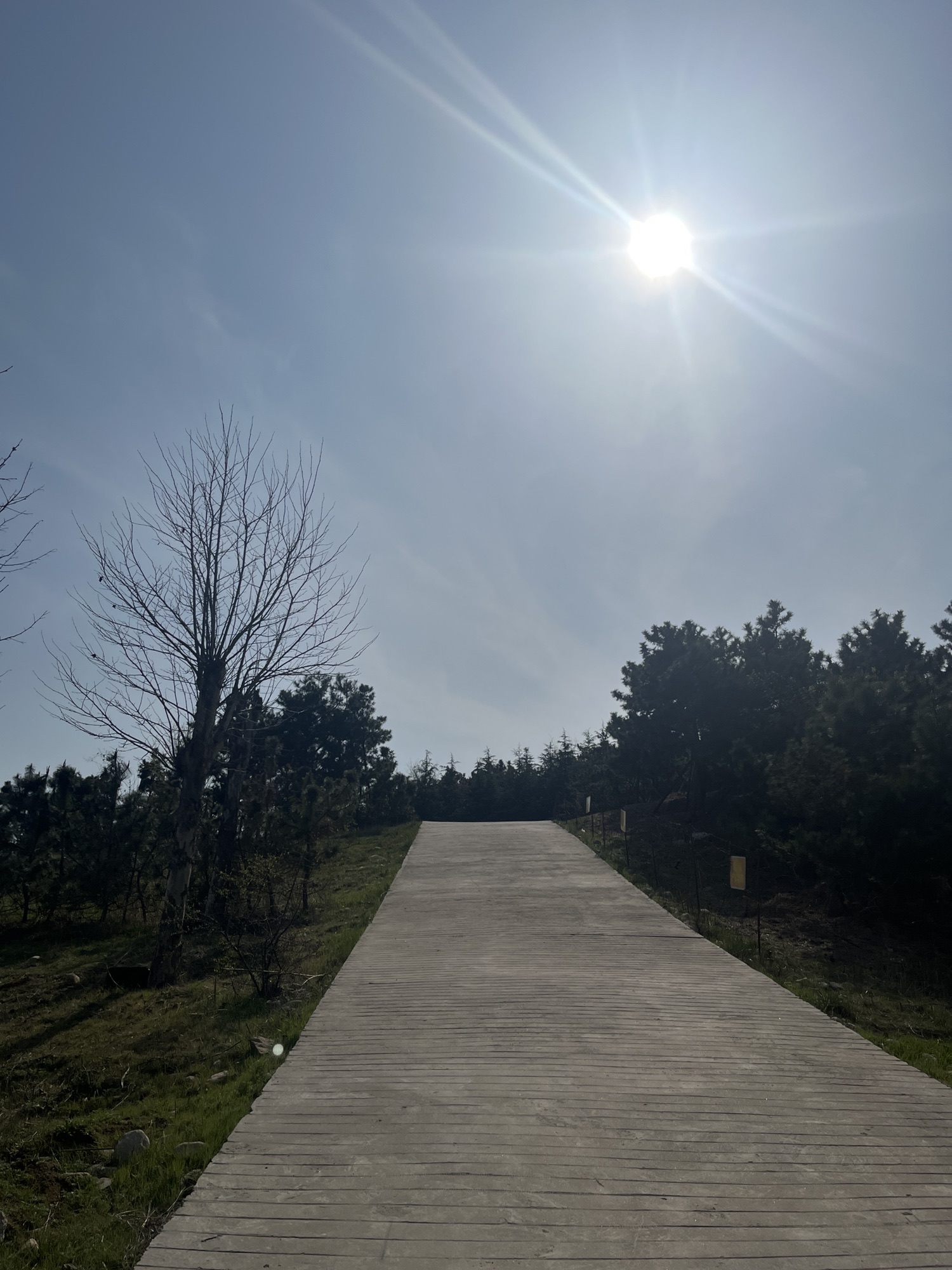 花科子山公园