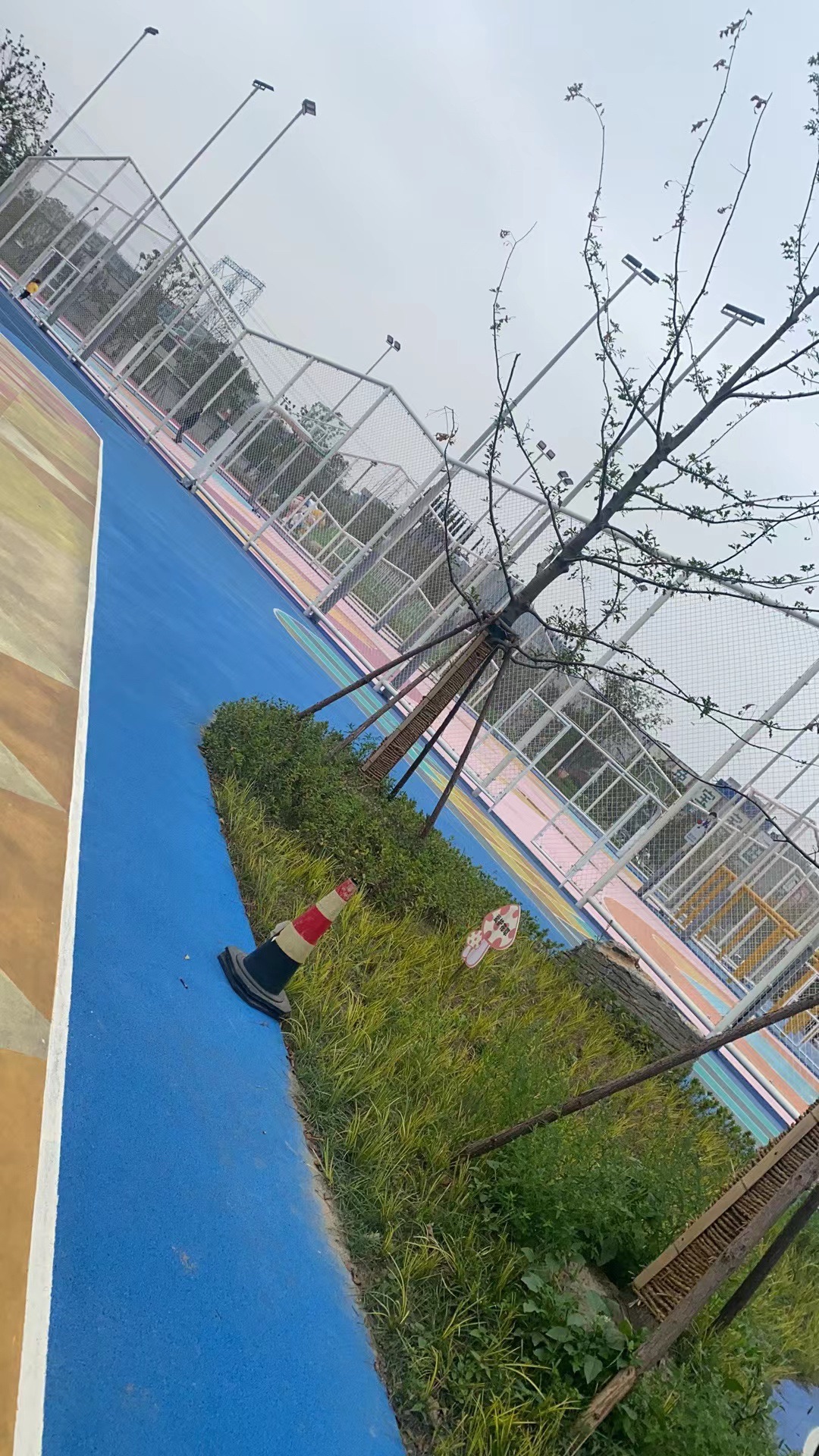 丰彩运动公园旅行图片