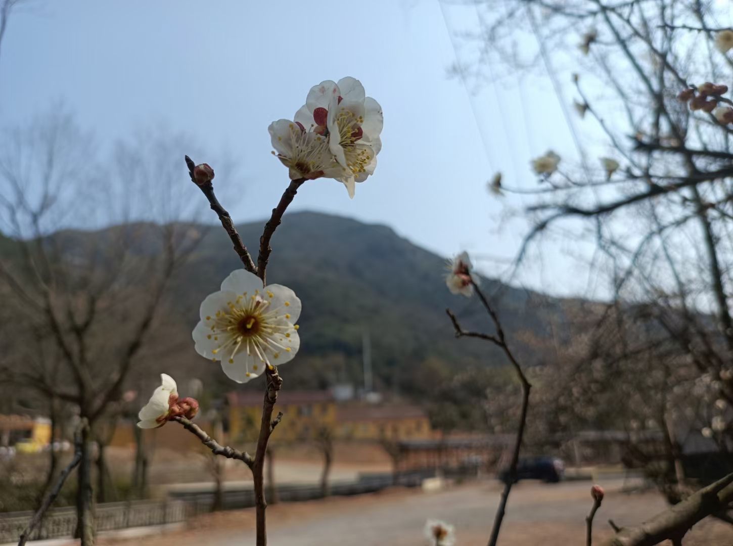古戏台遗址公园