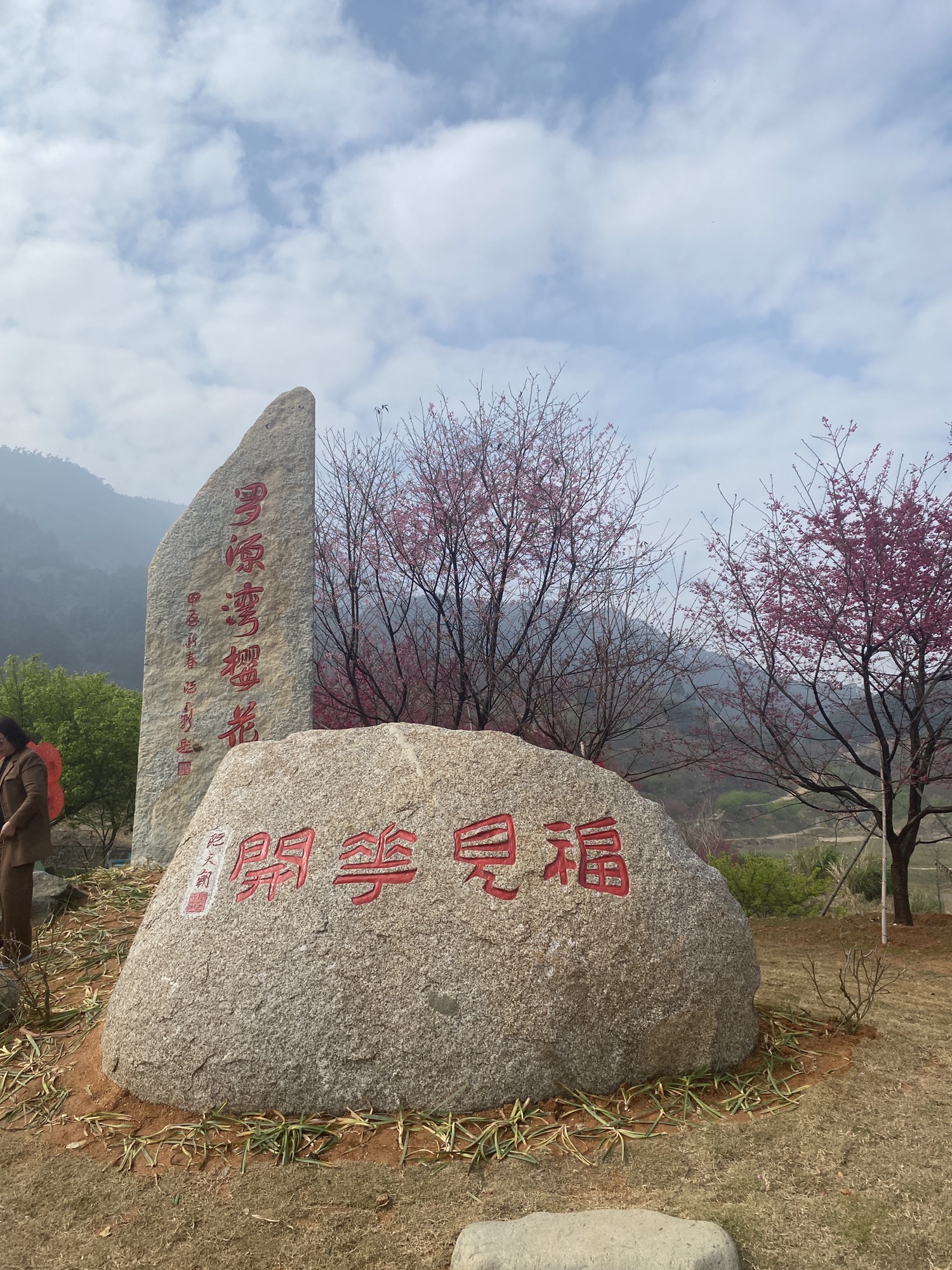 罗源湾樱花园