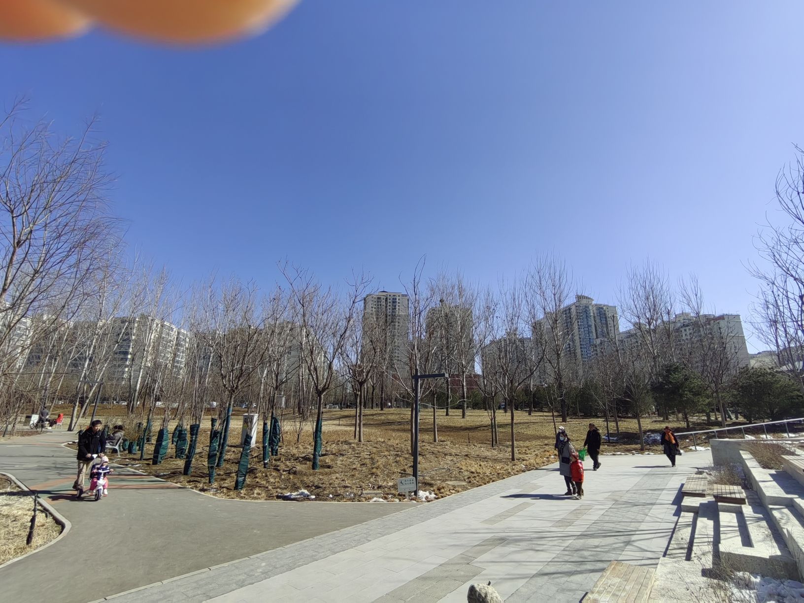 奥北森林公园旅行图片