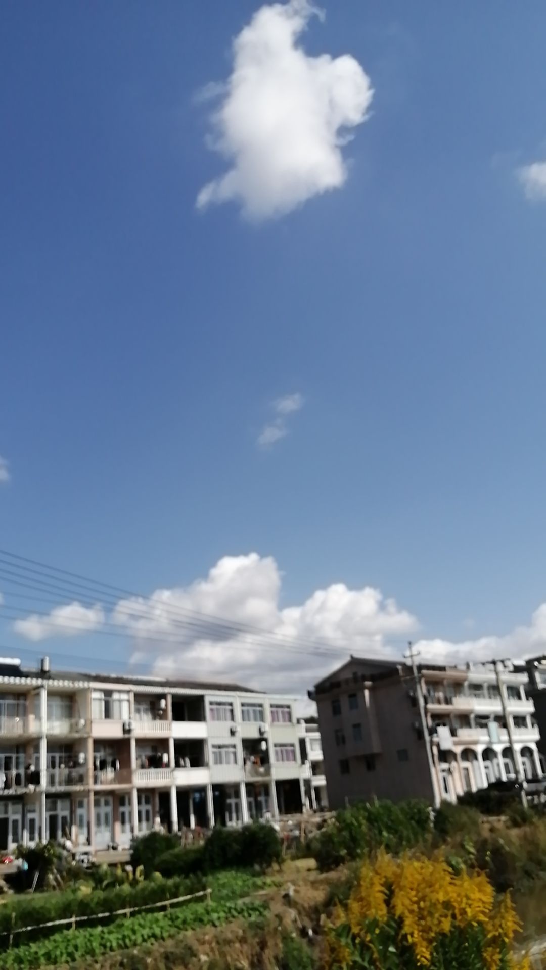 九龙古道