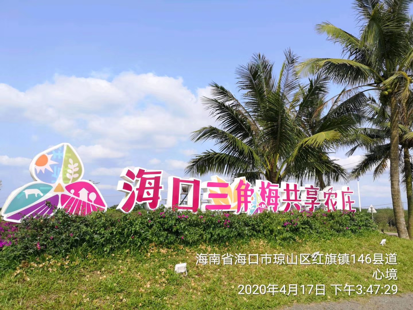 海口三角梅花展
