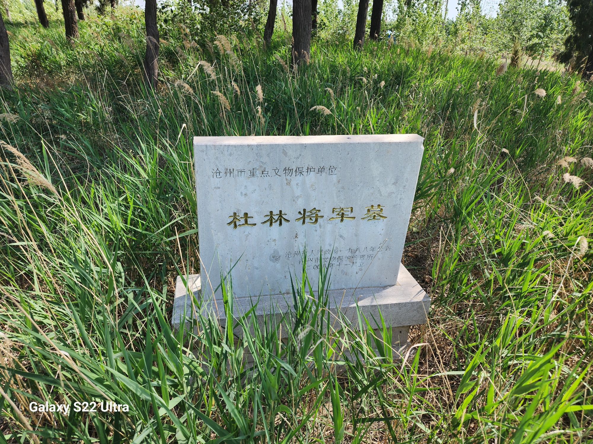 杜林将军墓