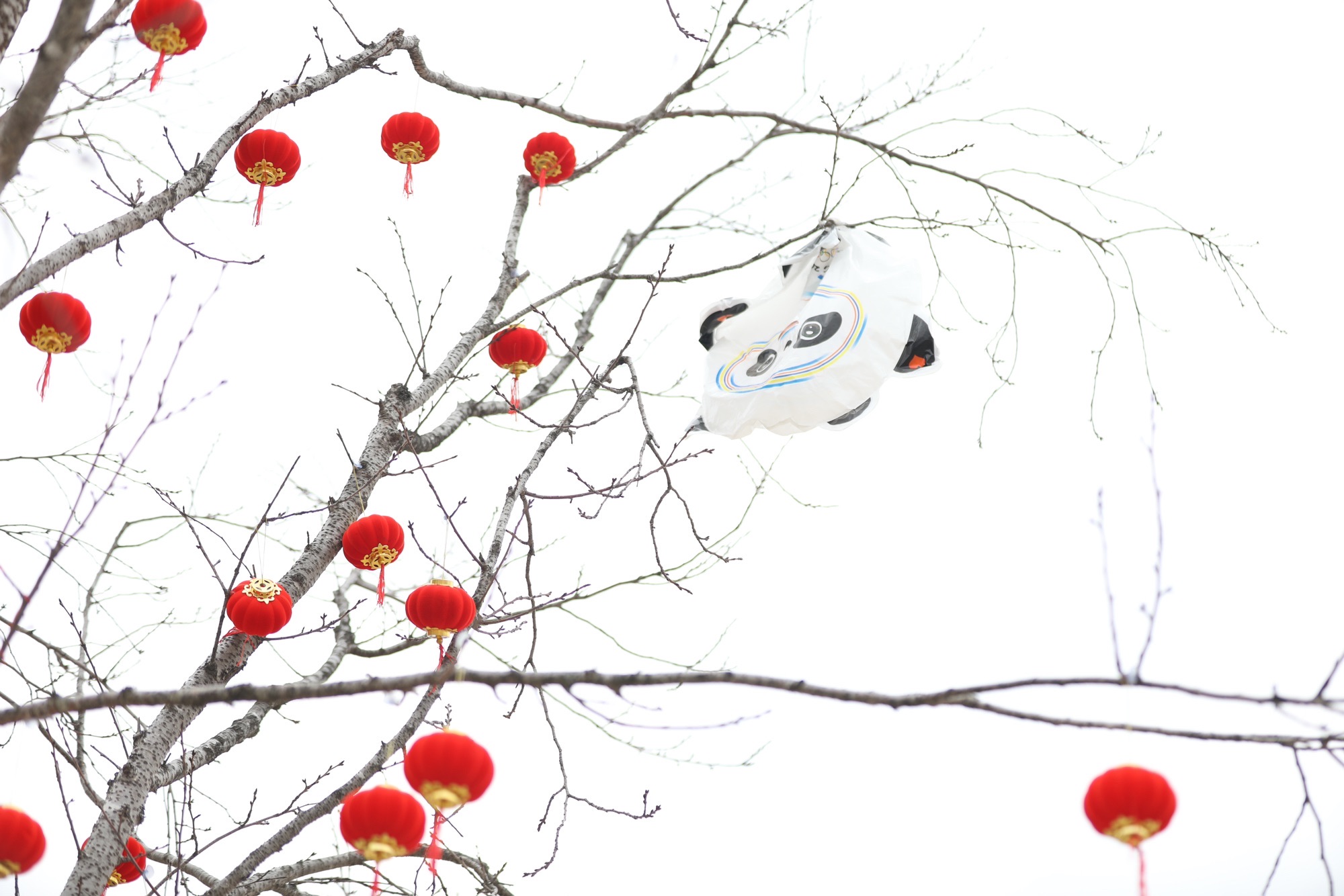 东外滩青春公园旅行图片