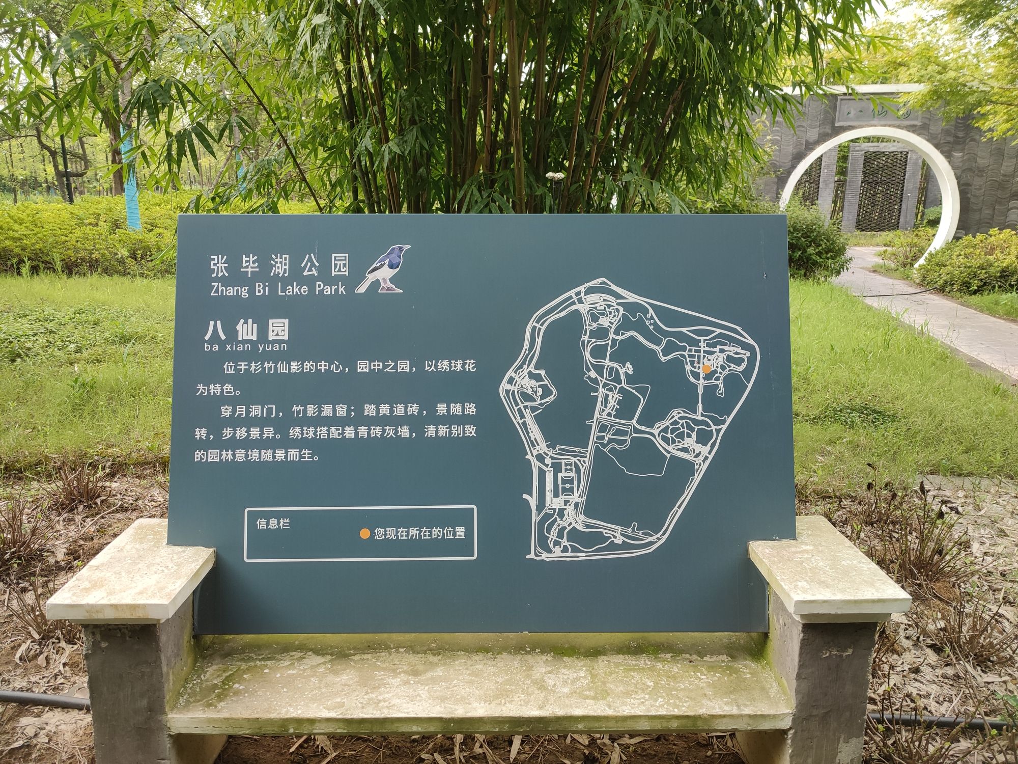 八仙园旅行图片