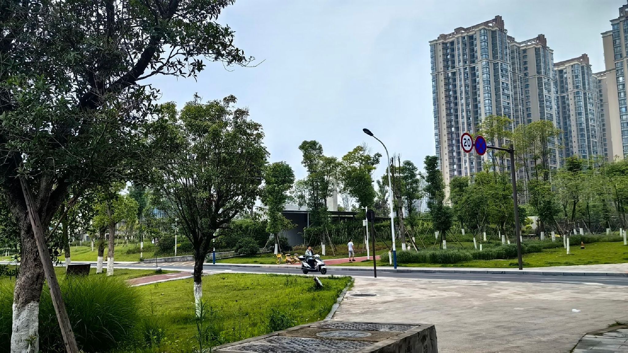 谢家河再生水厂海绵公园旅行图片