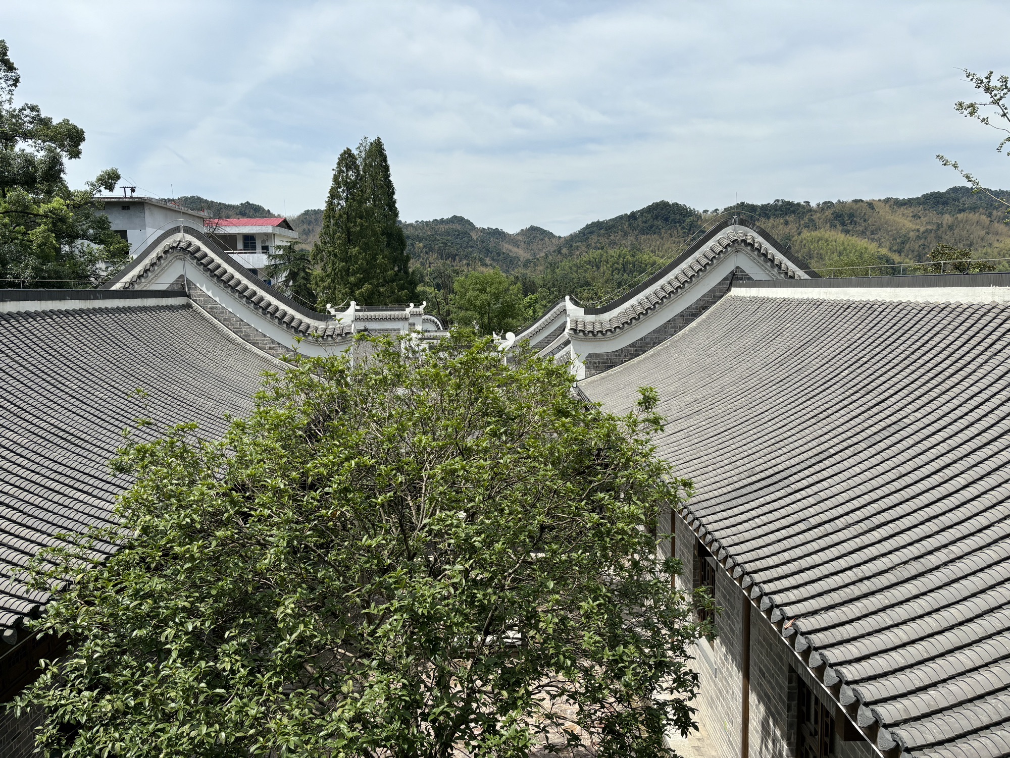 箴言书院