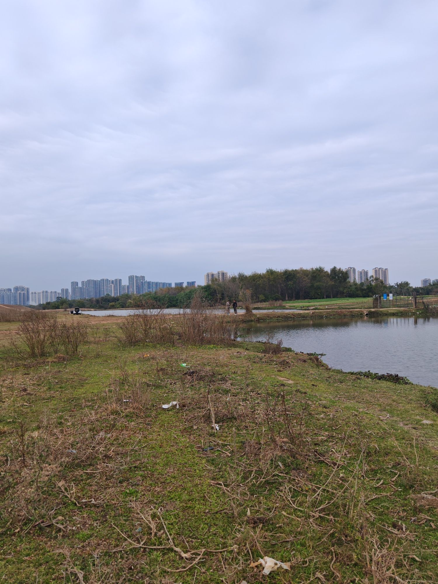 仙眷花洲花海旅行图片