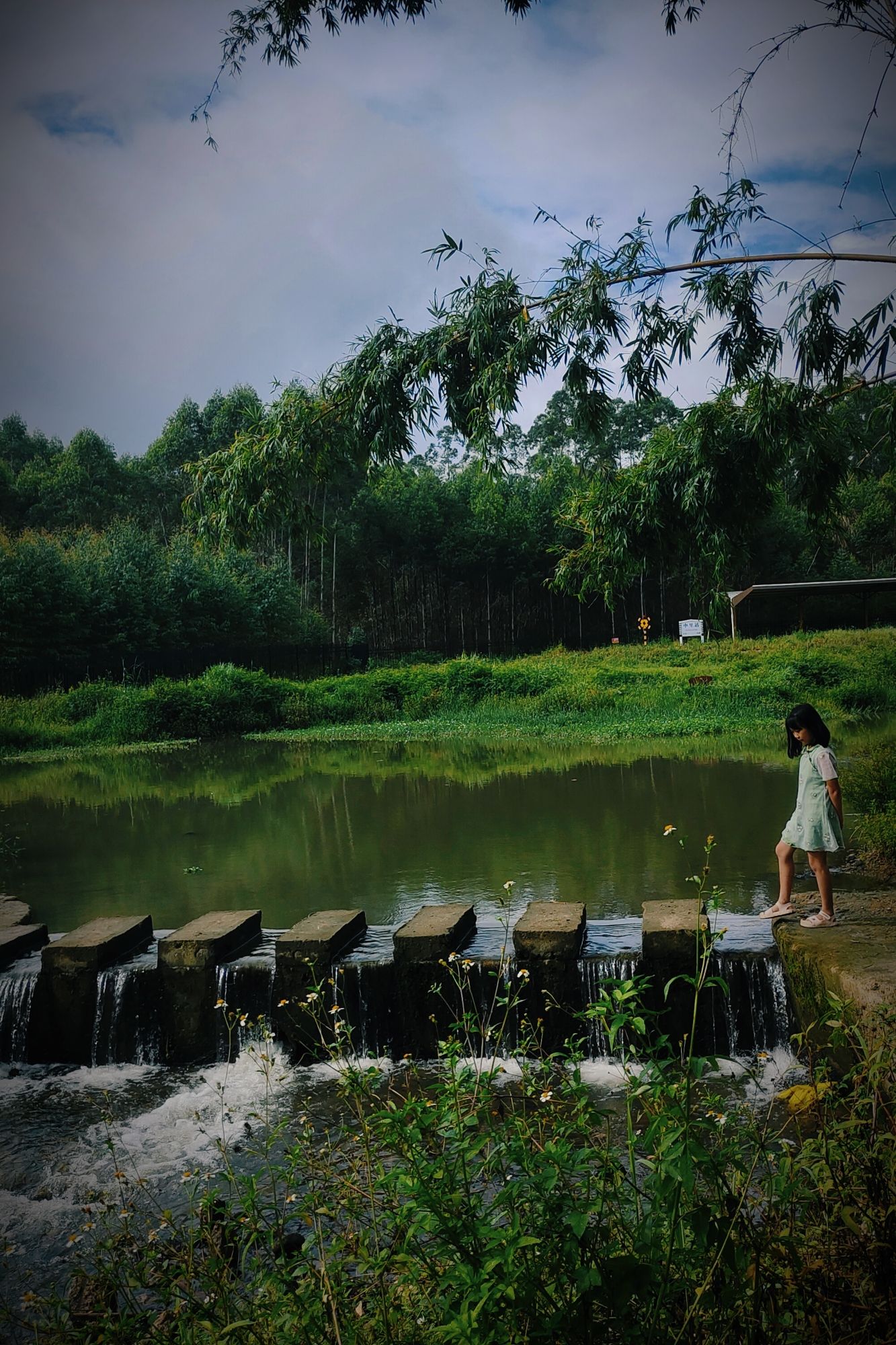 马来河自然沙洲风景区旅行图片