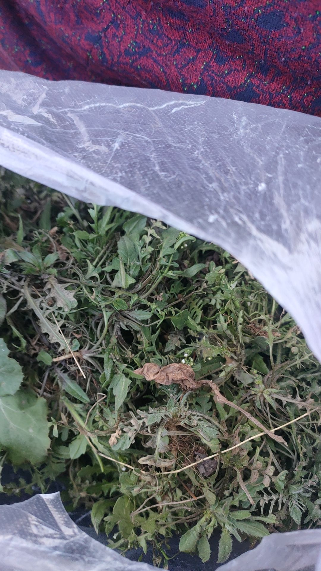 洞王山佛石刻