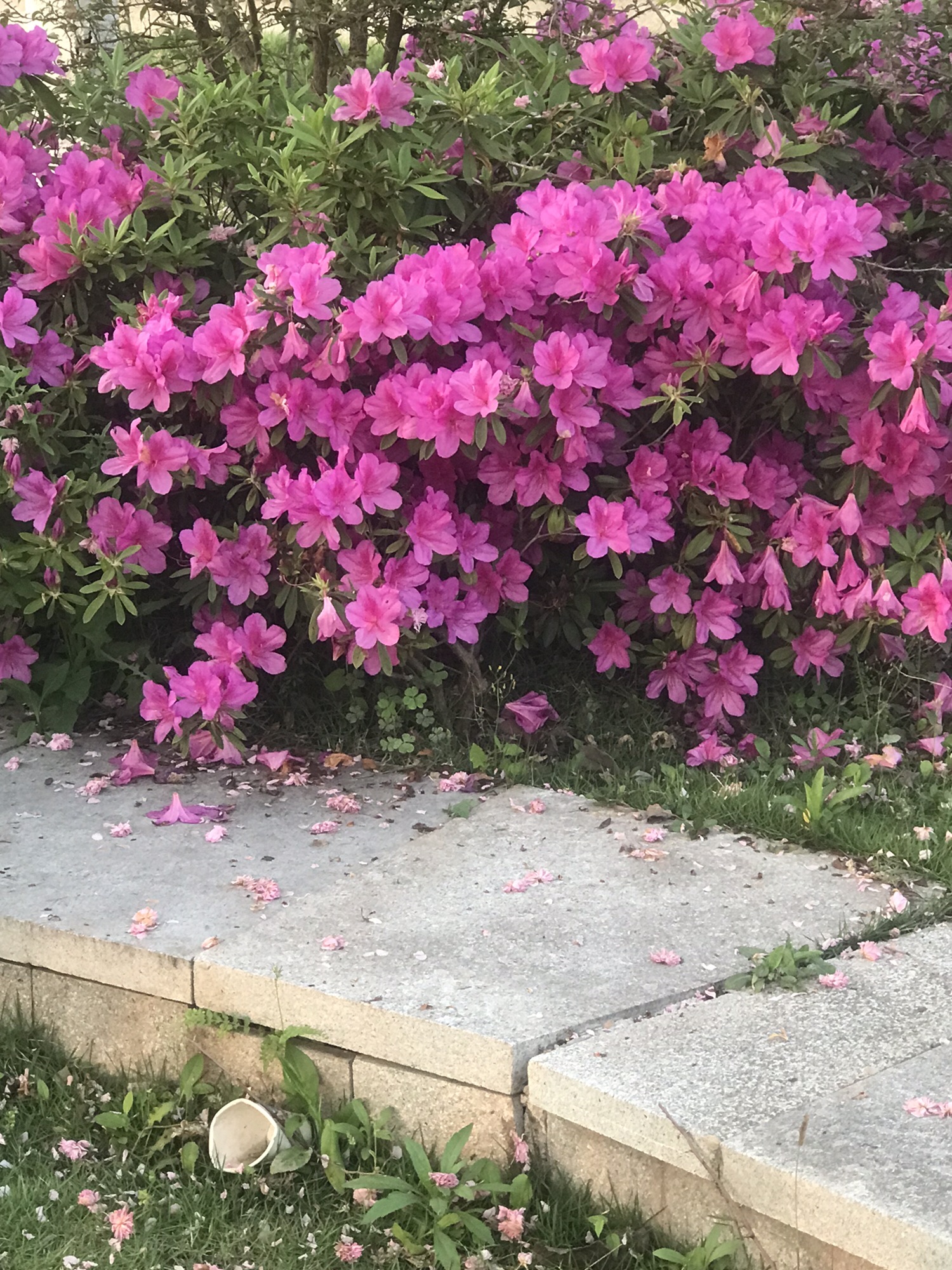 宜陈河滨河公园