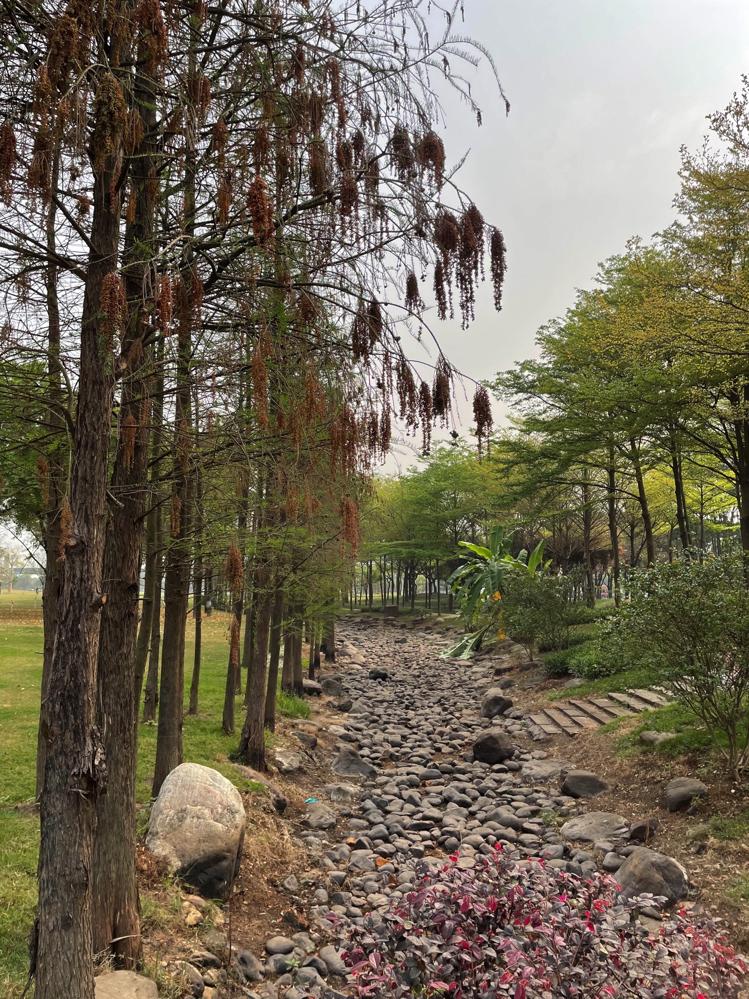 智云公园旅行图片