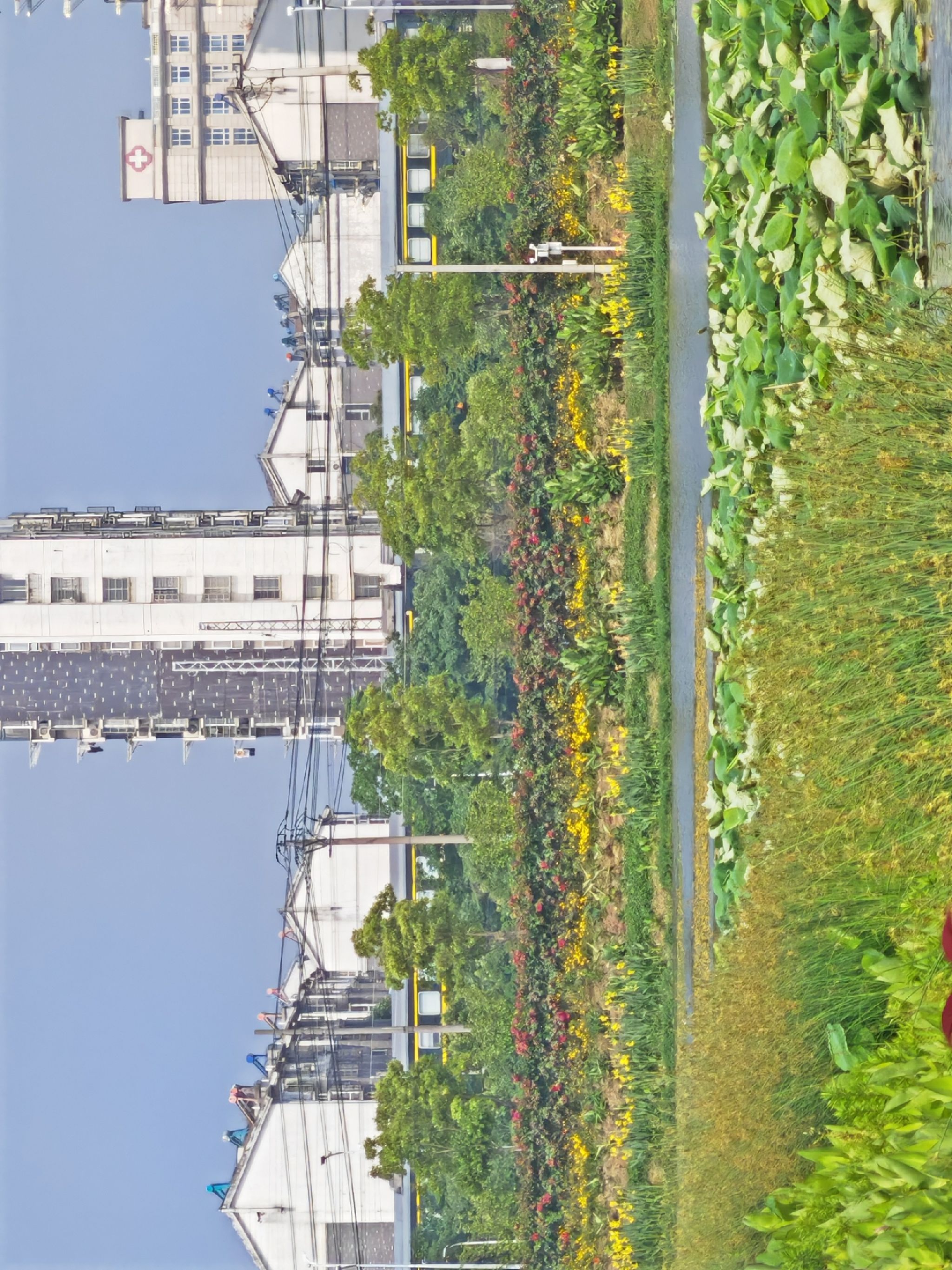 三湖一坝生态湿地公园