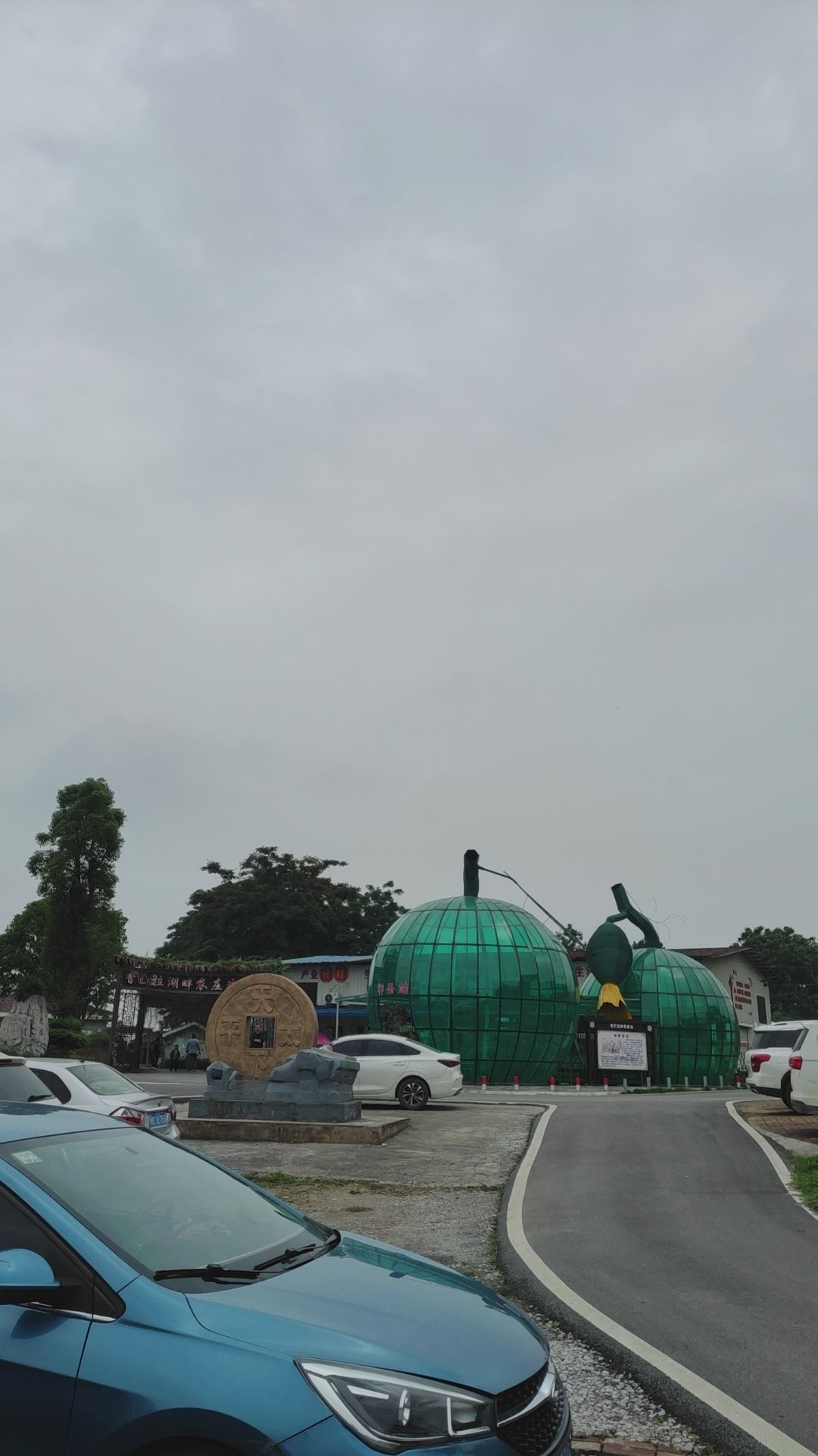 香巴拉玫瑰花园