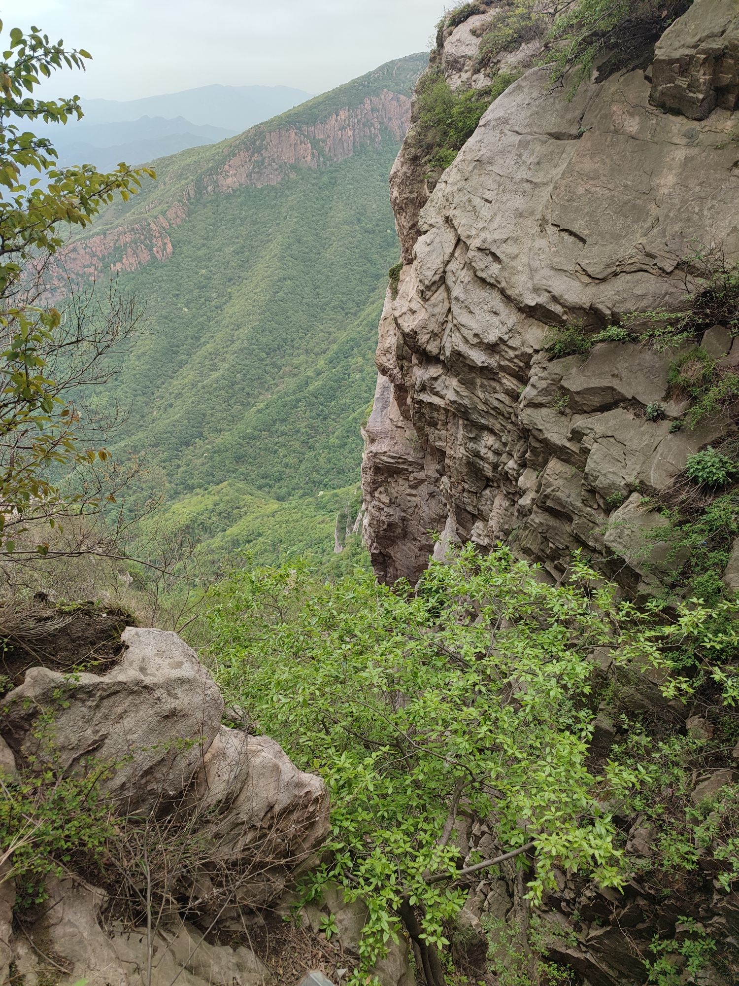 老母修行洞(中灵山)旅行图片