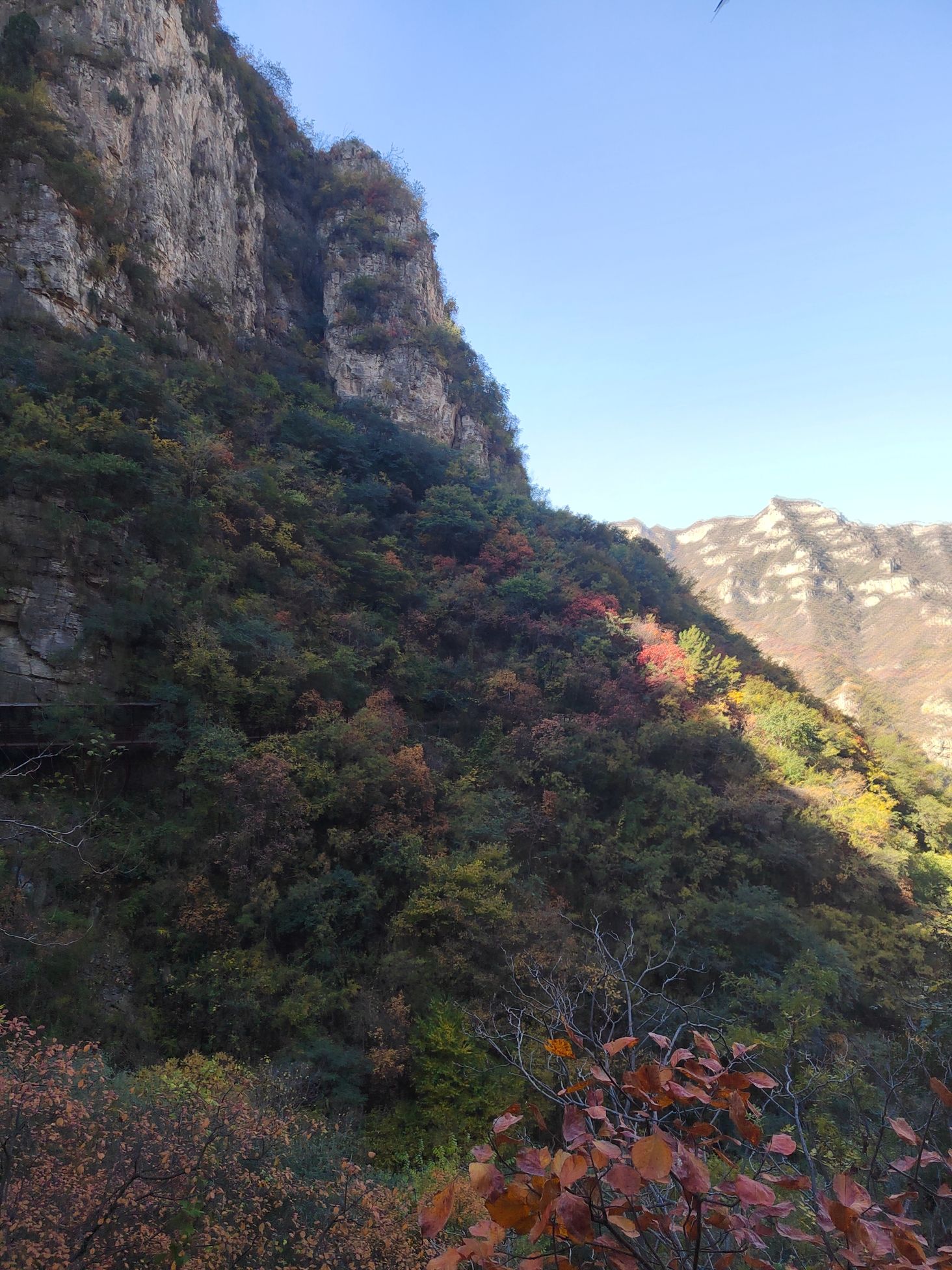 璧山景区