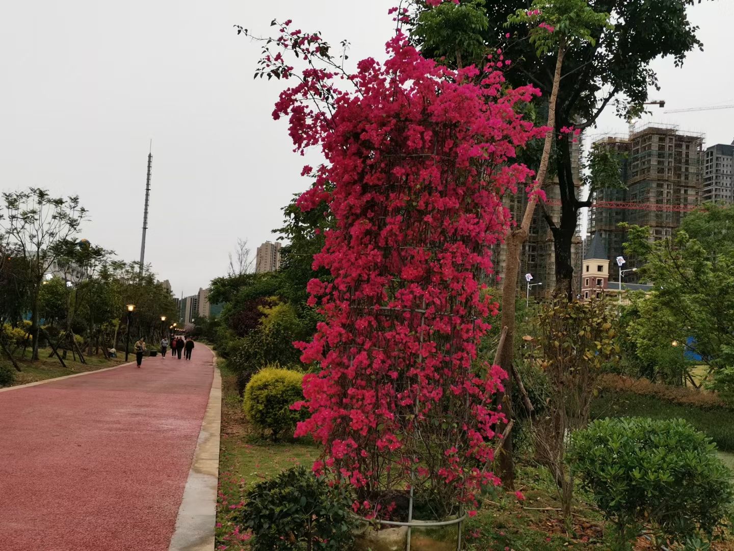 鹿寨绿廊公园