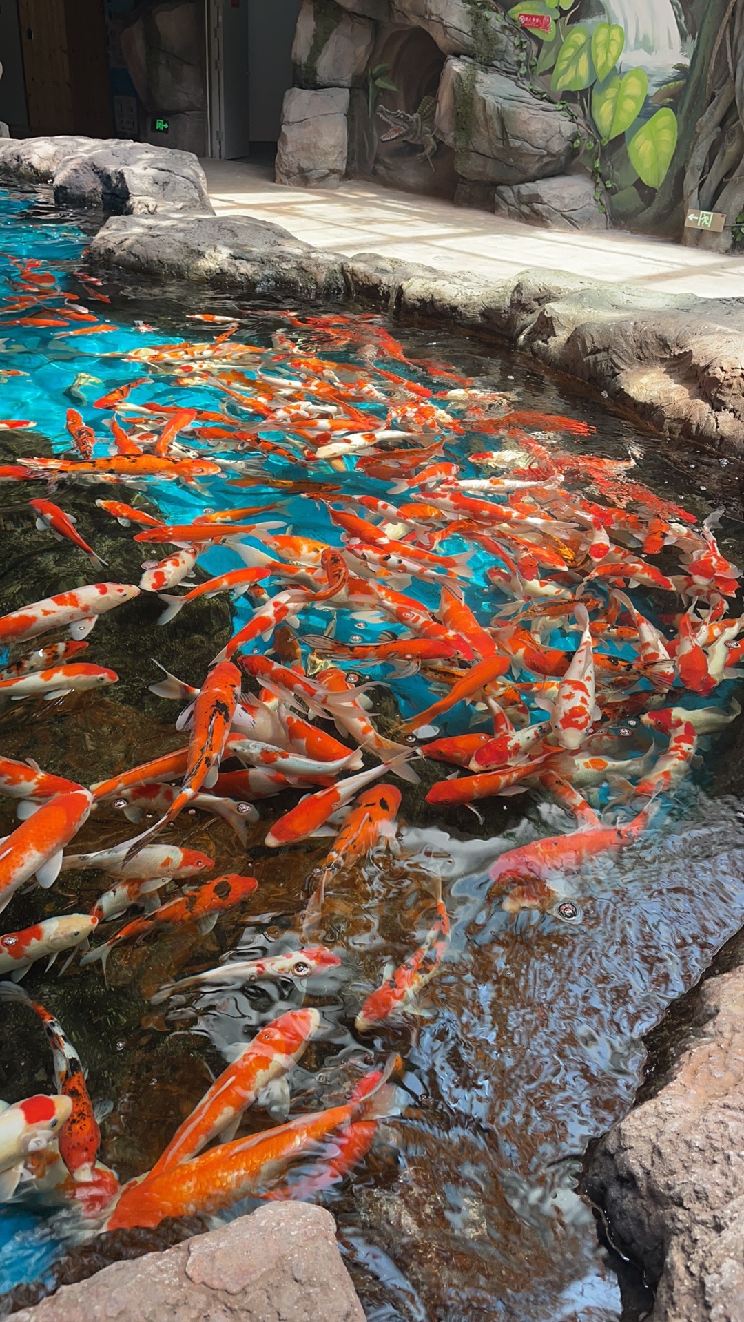 邢台海洋乐园旅行图片