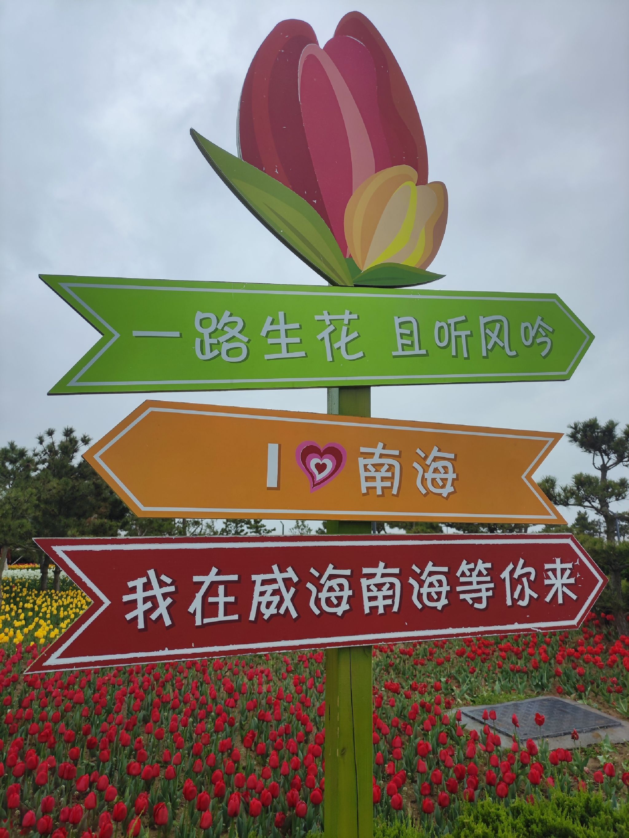 郁金香广场