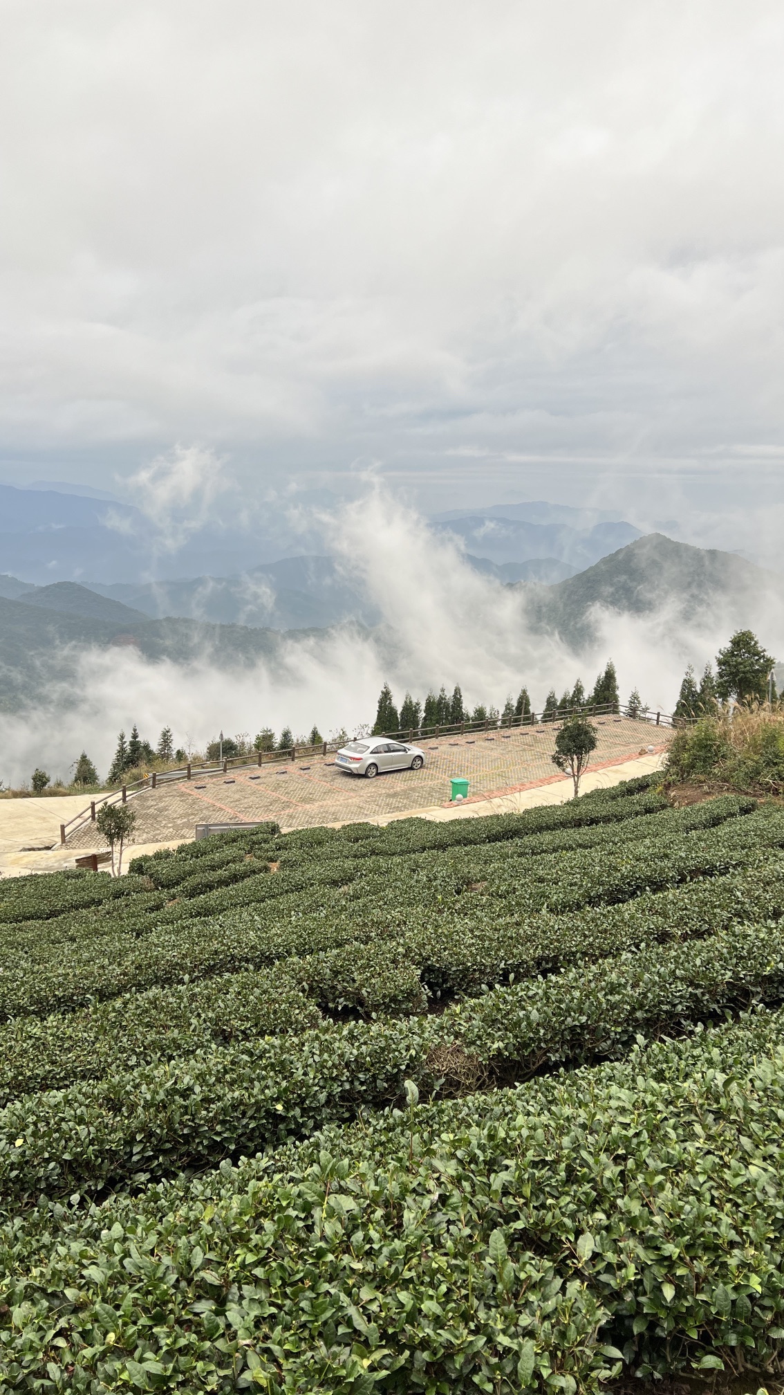 云路雪山茶山公园