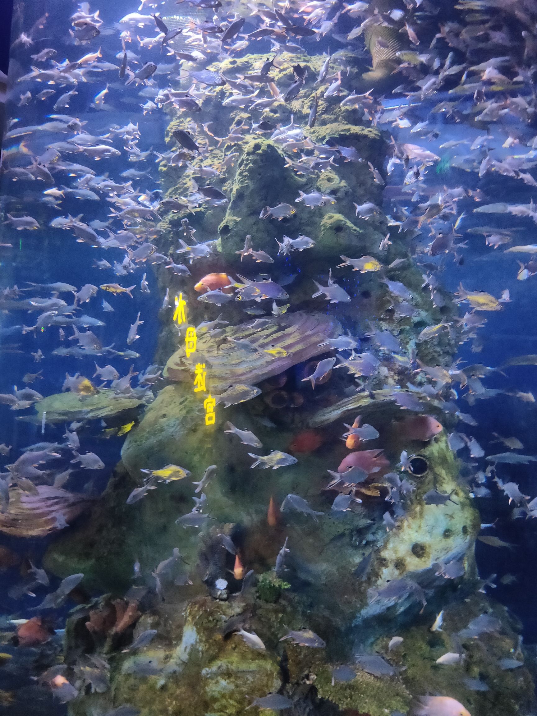 郸城海洋馆