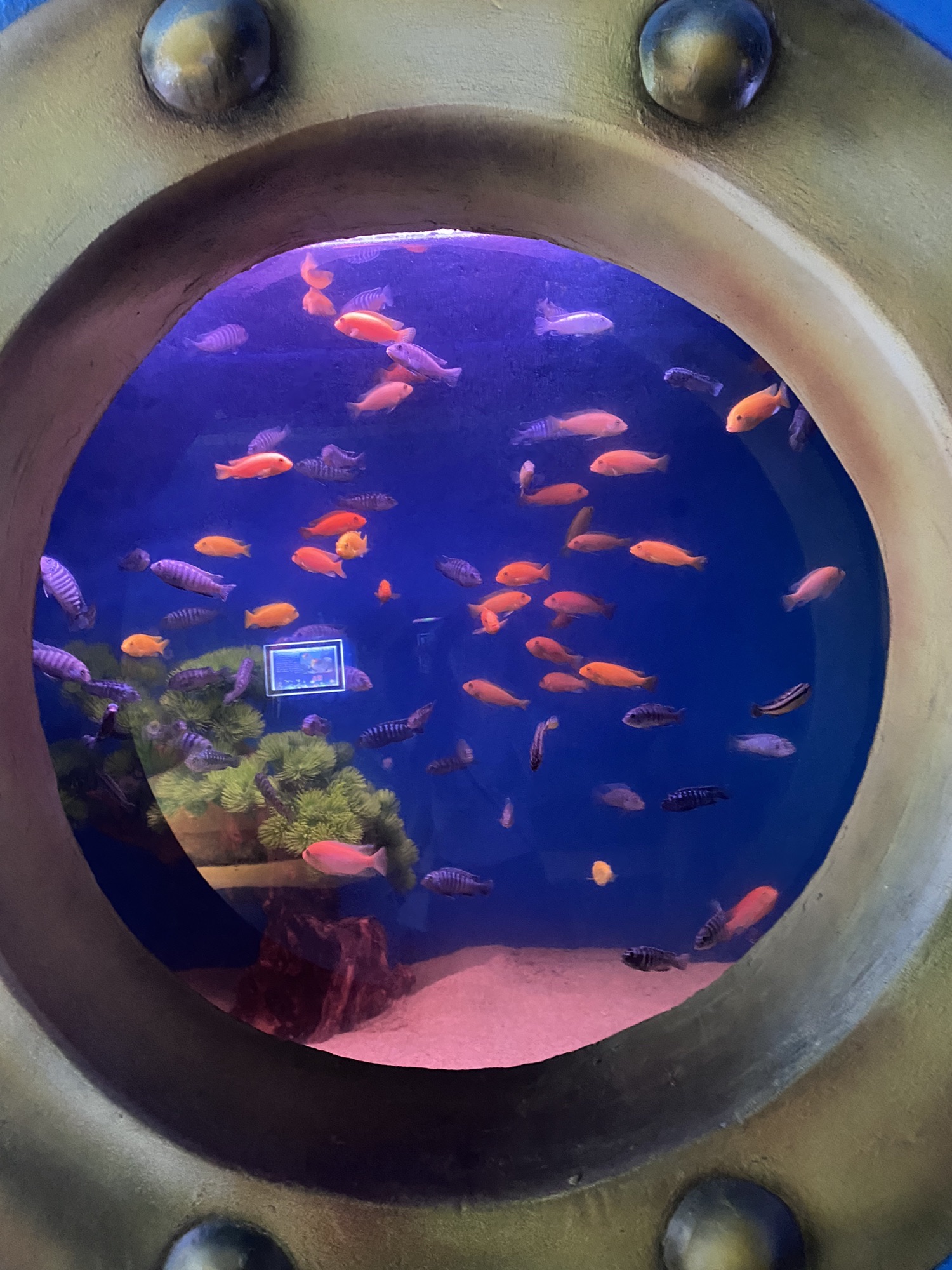郸城海洋馆旅行图片