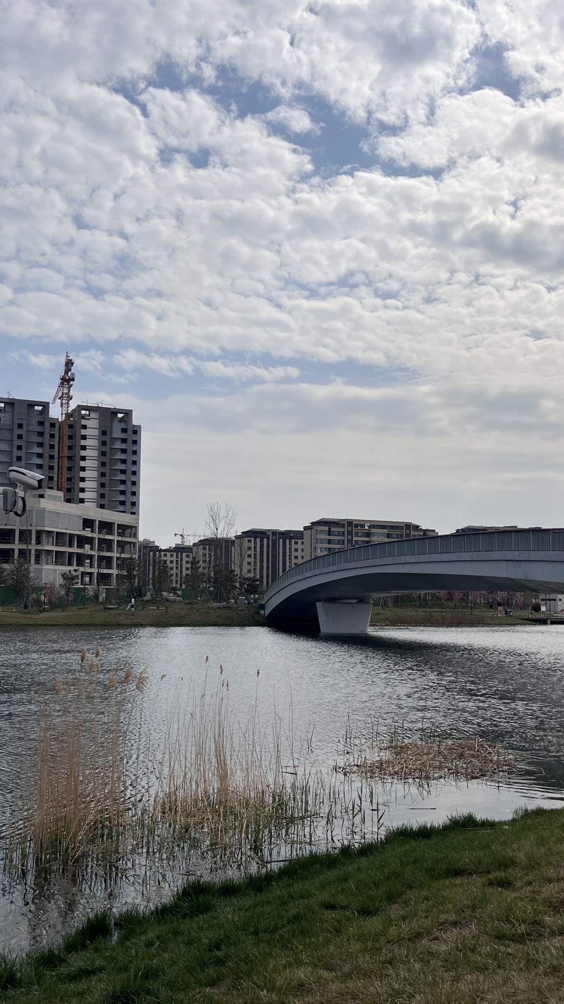 阳都城市客厅