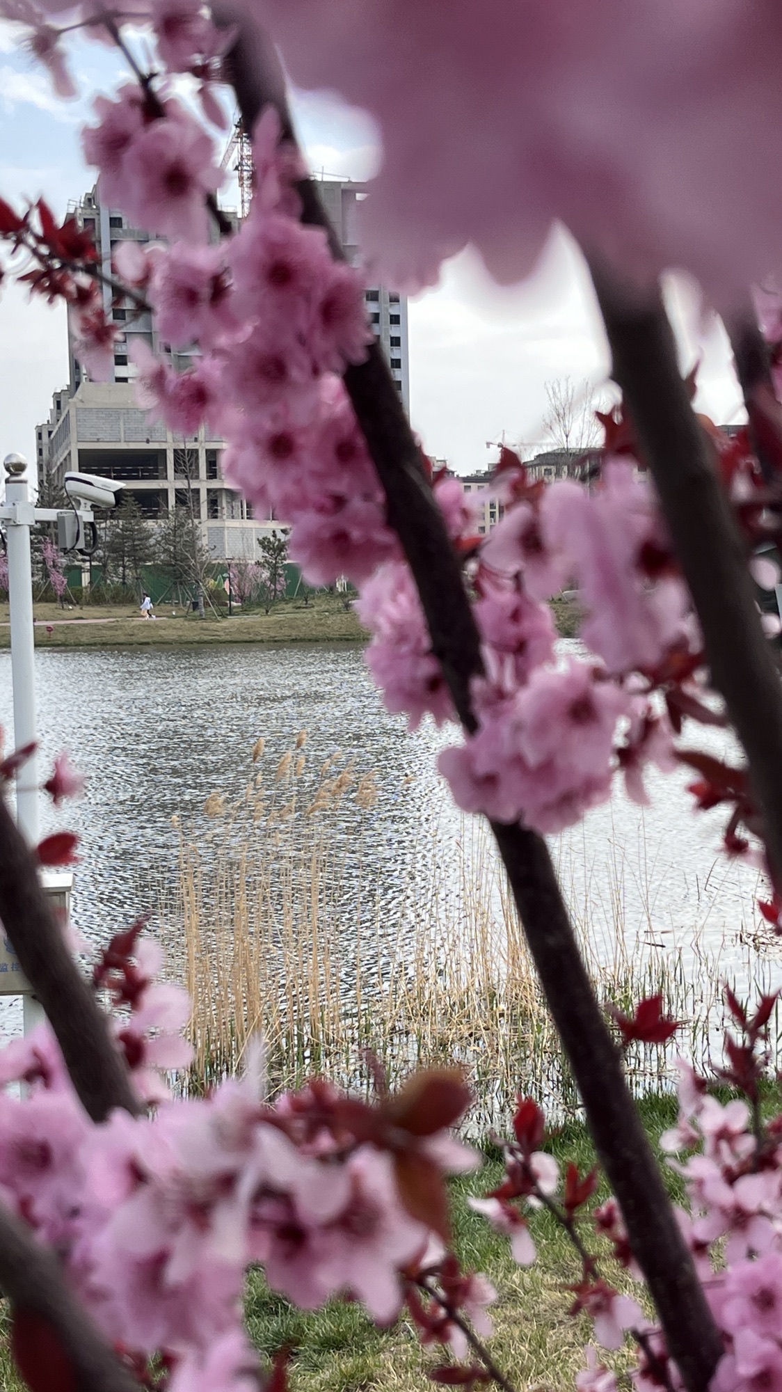 阳都城市客厅旅行图片
