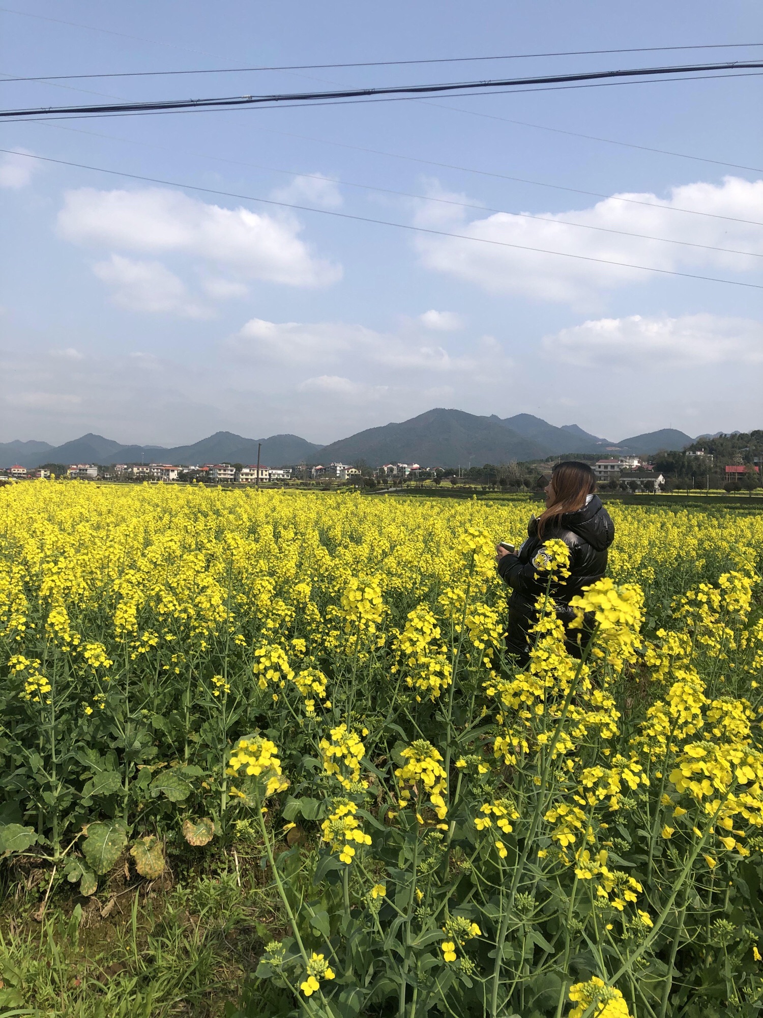 锁石花之缘景区