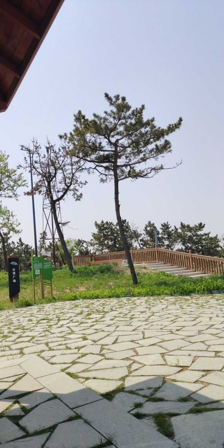 峄山公园旅行图片