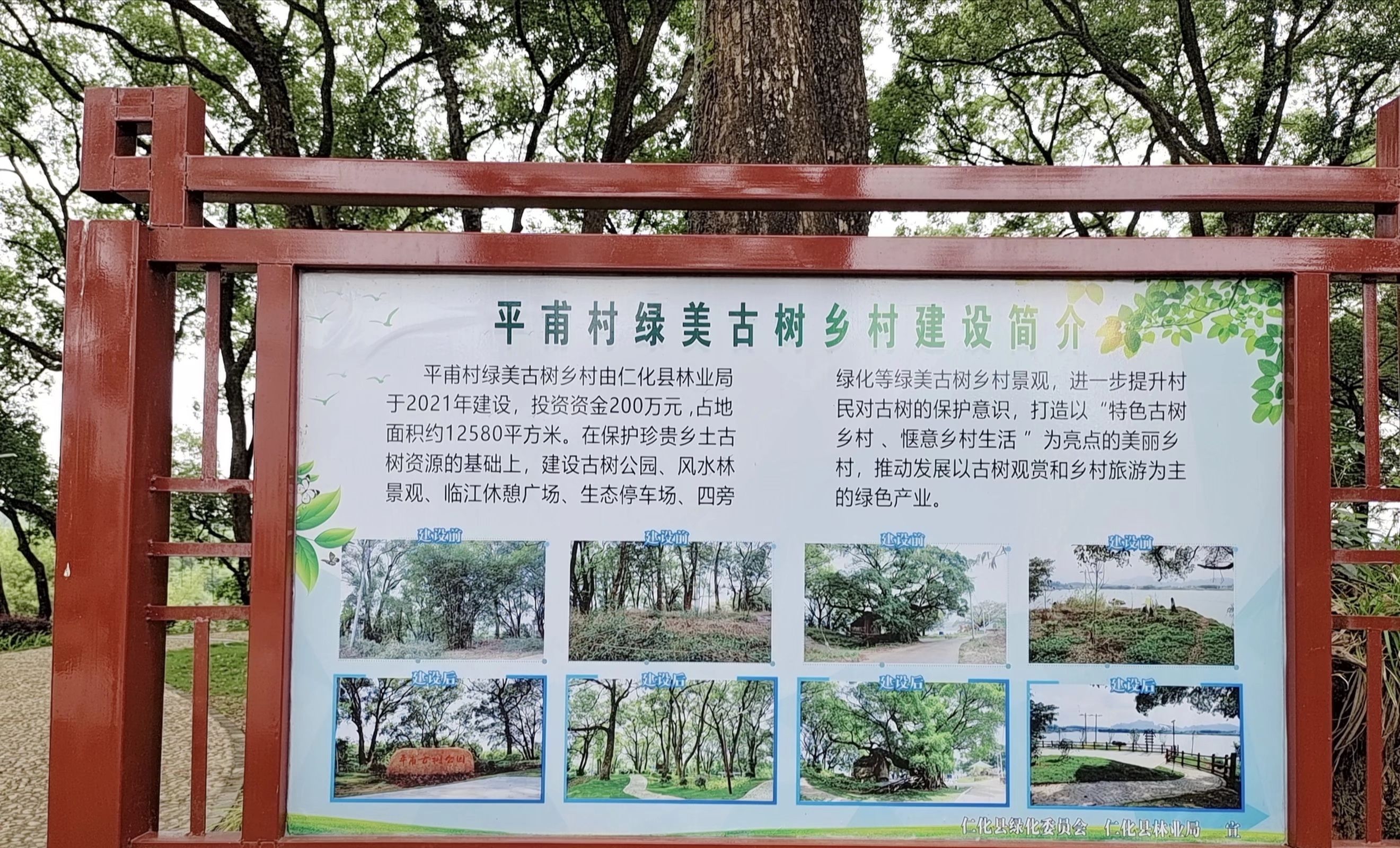 平甫古树公园