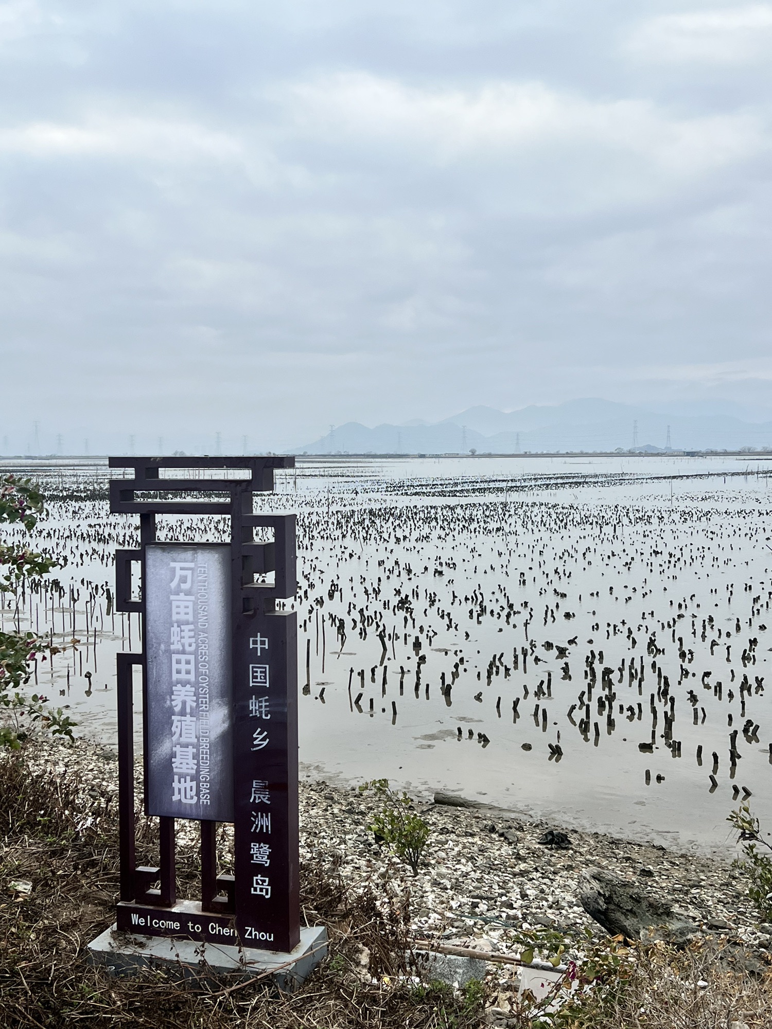 晨洲蚝乡旅游区