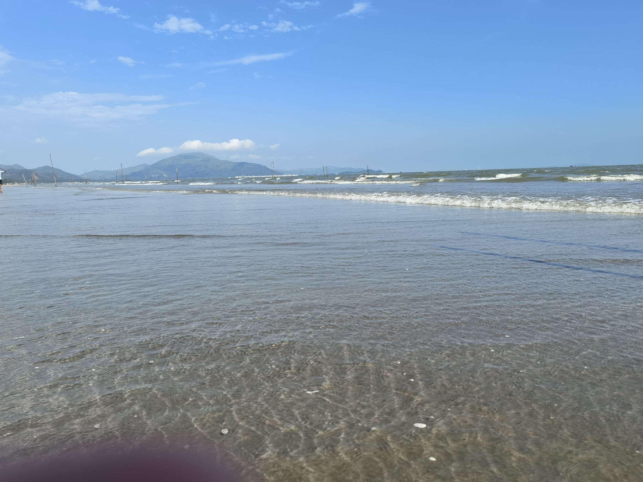 上海生态旅游特色村旅行图片