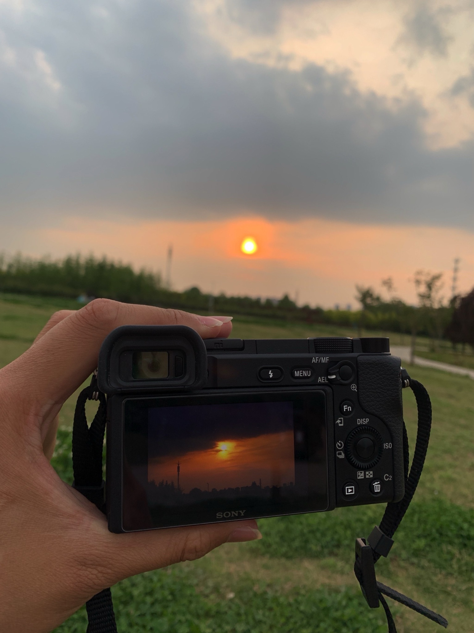 伊河湿地公园旅行图片