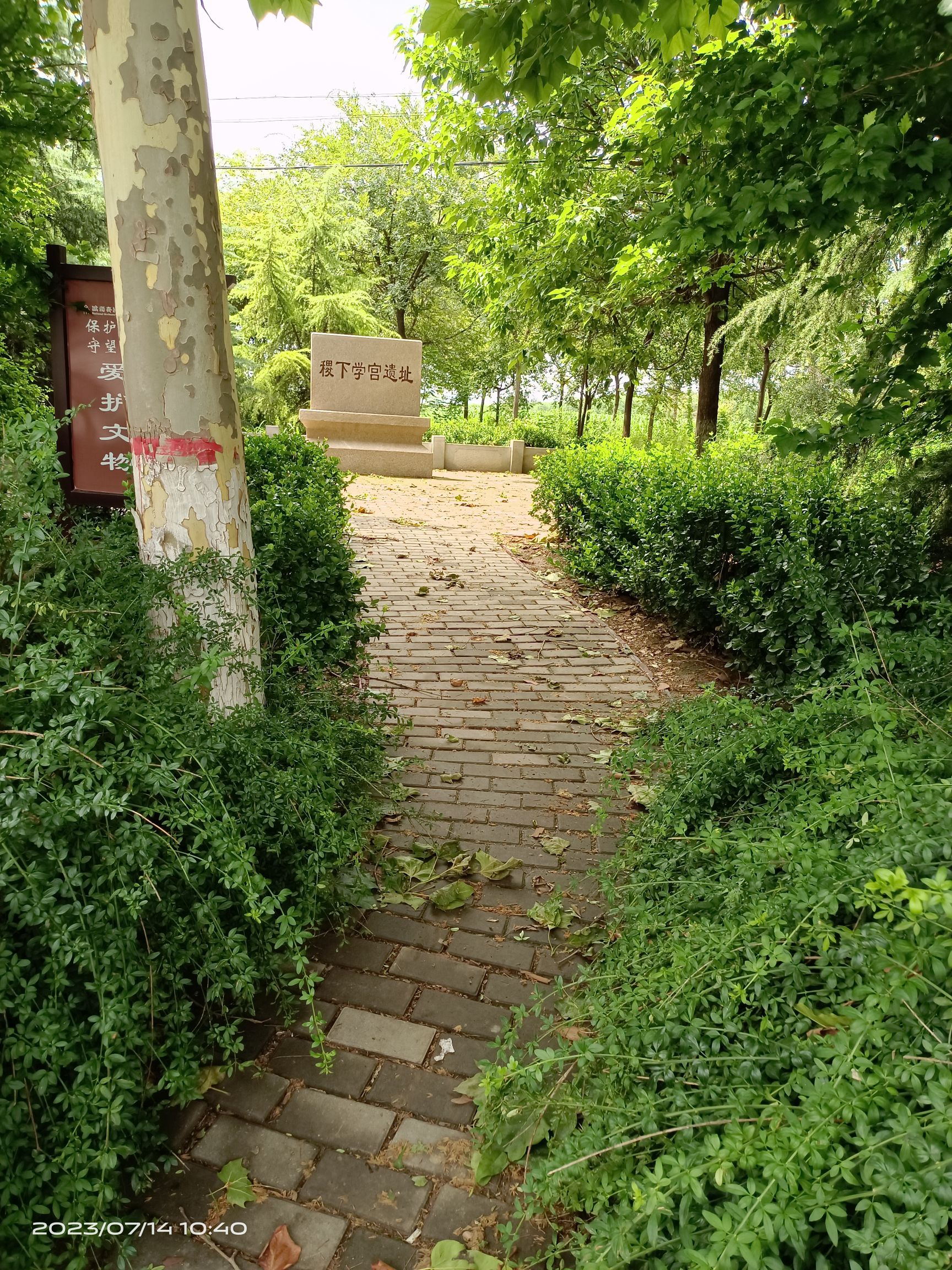 稷下学宫遗址旅行图片