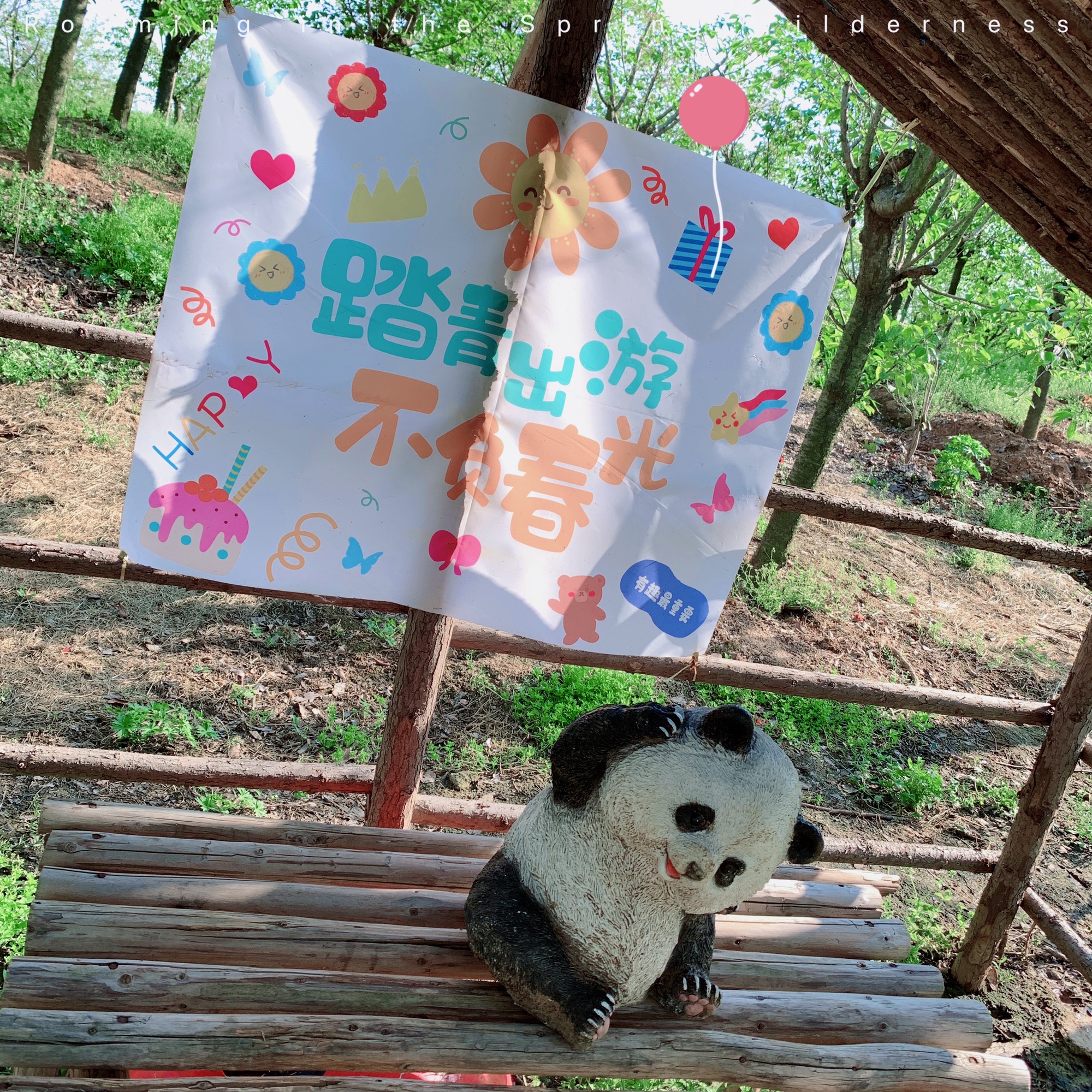南京森林大世界
