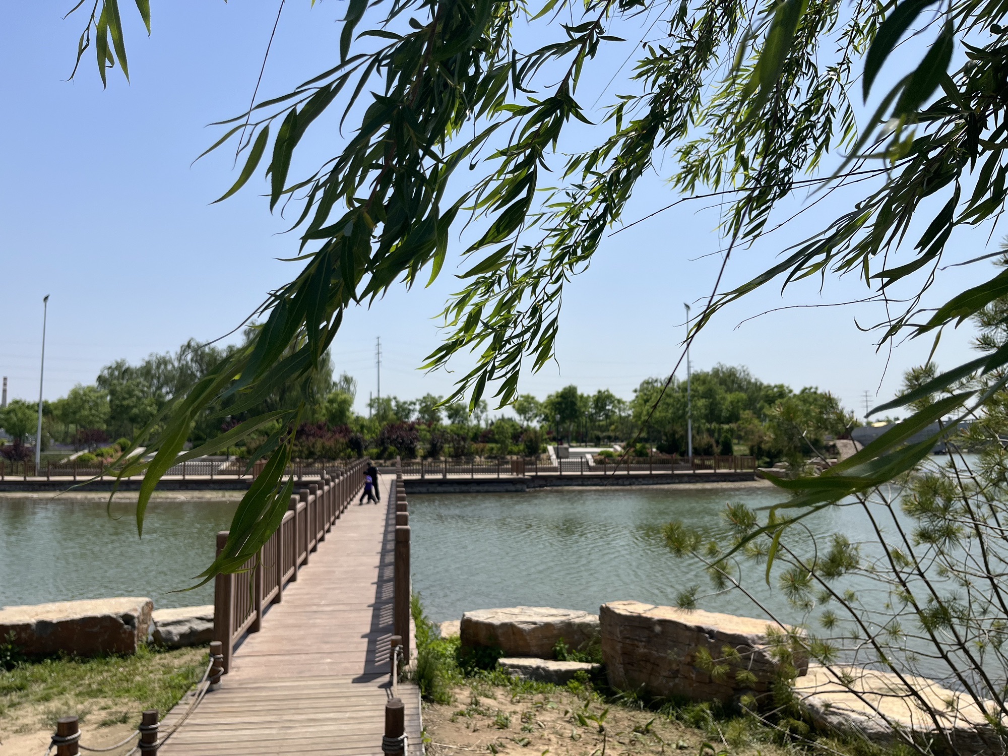 荷花湖公园