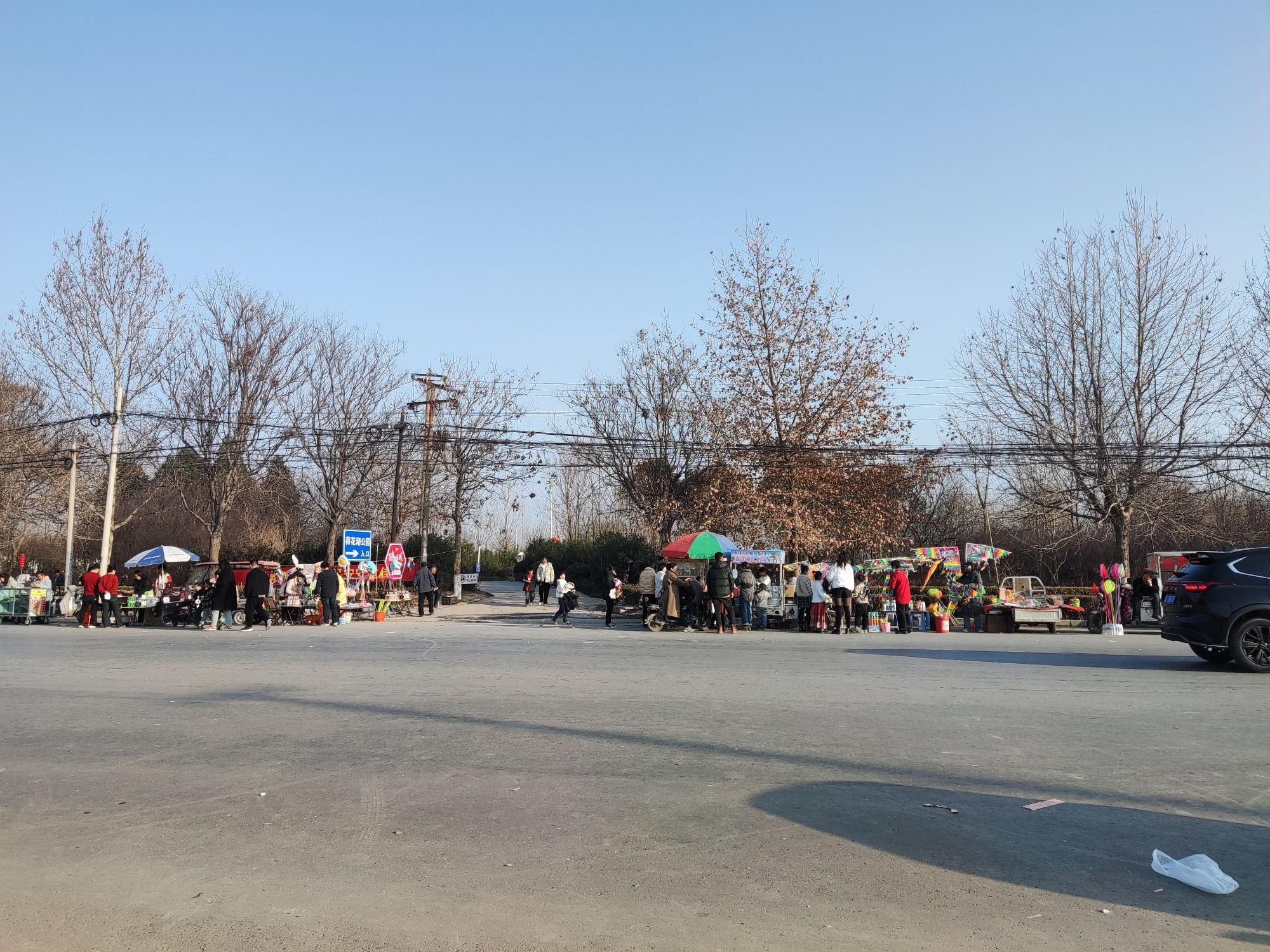 荷花湖公园旅行图片